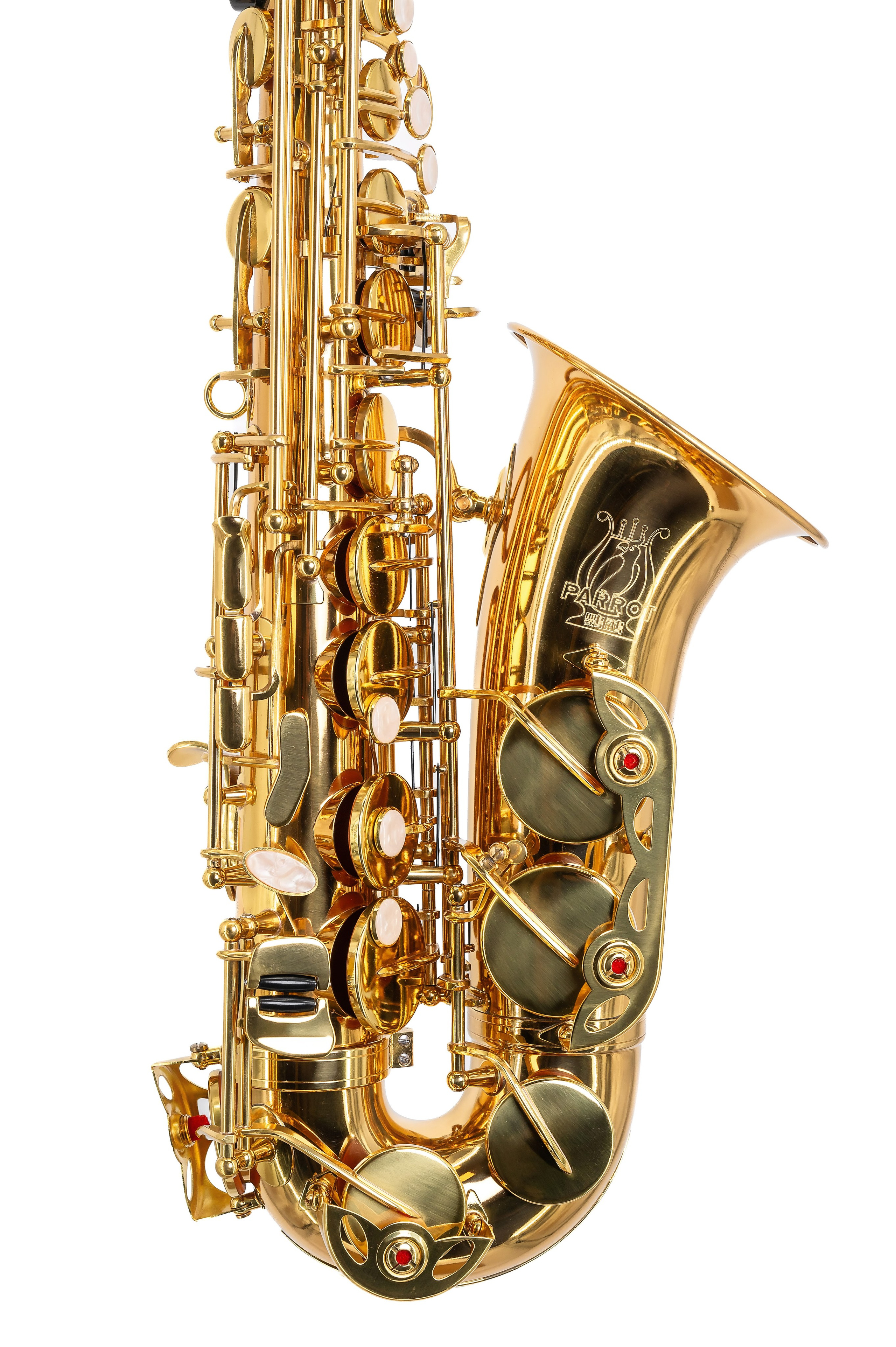 Produs. George Boicu — Fotograf — Gura Humorului