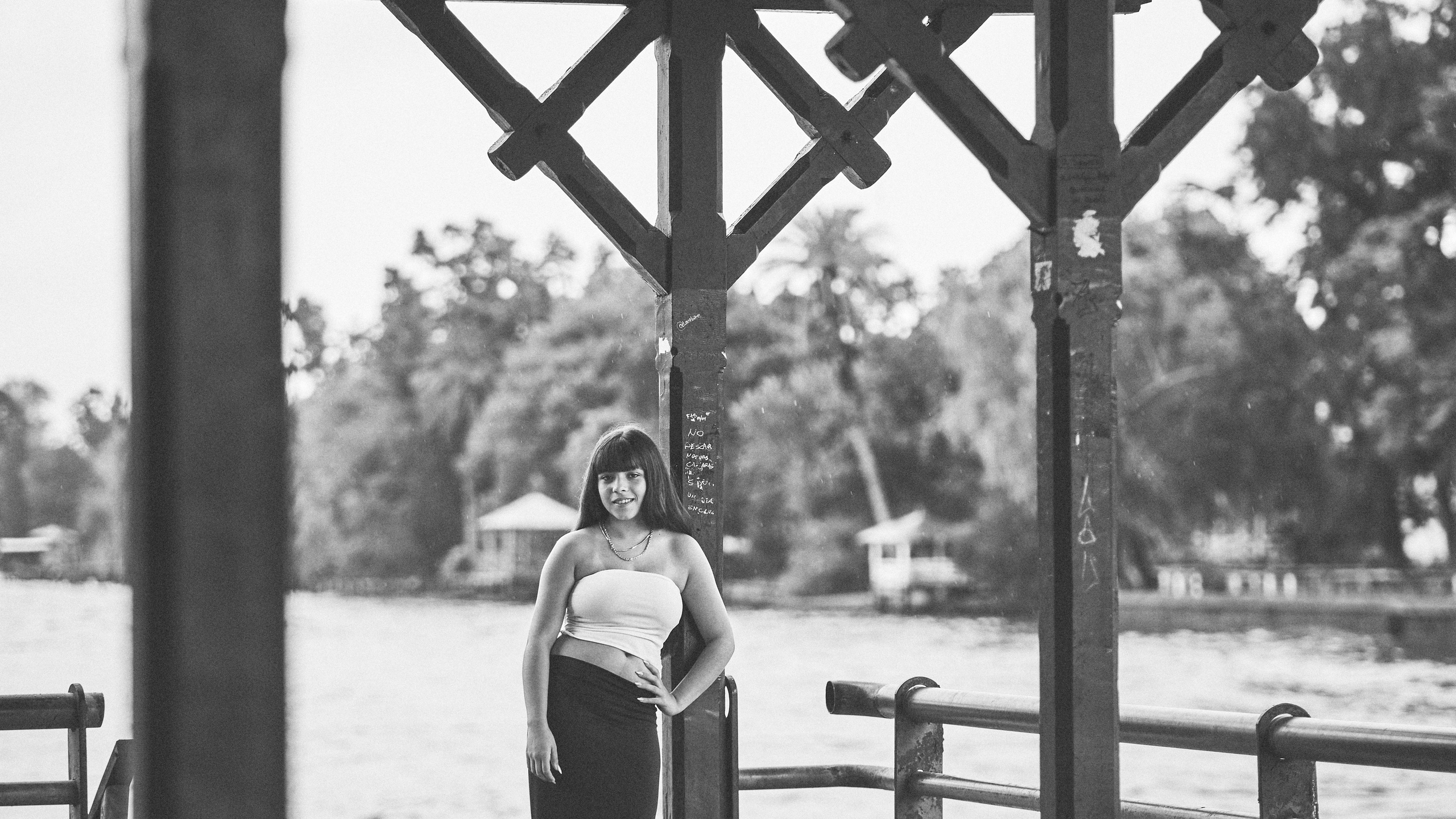 Book XV. Luis XV