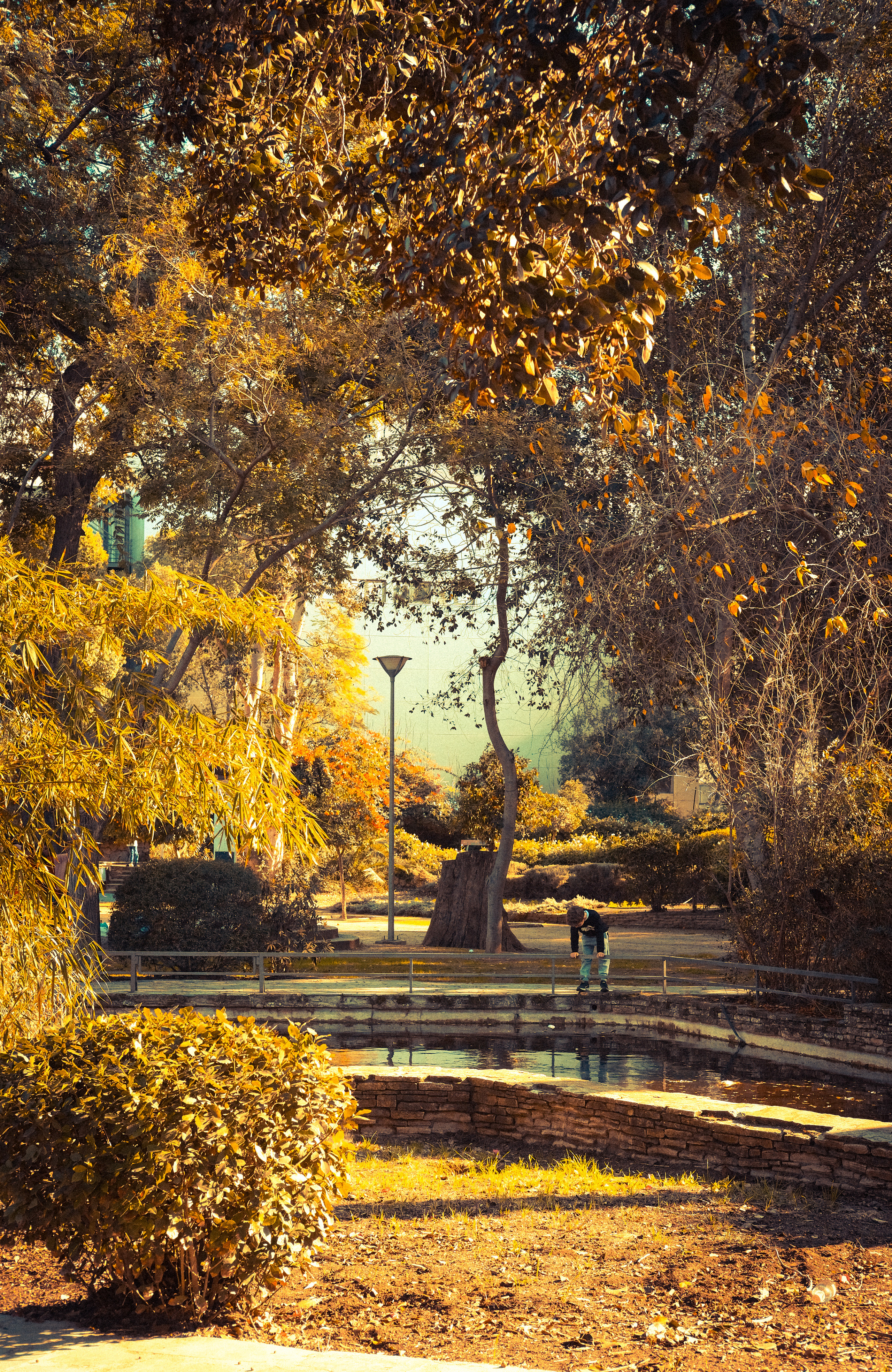 In the Park in Winter 🇨🇾 |📍 Nicosia City | Cyprus | YuKo Photography