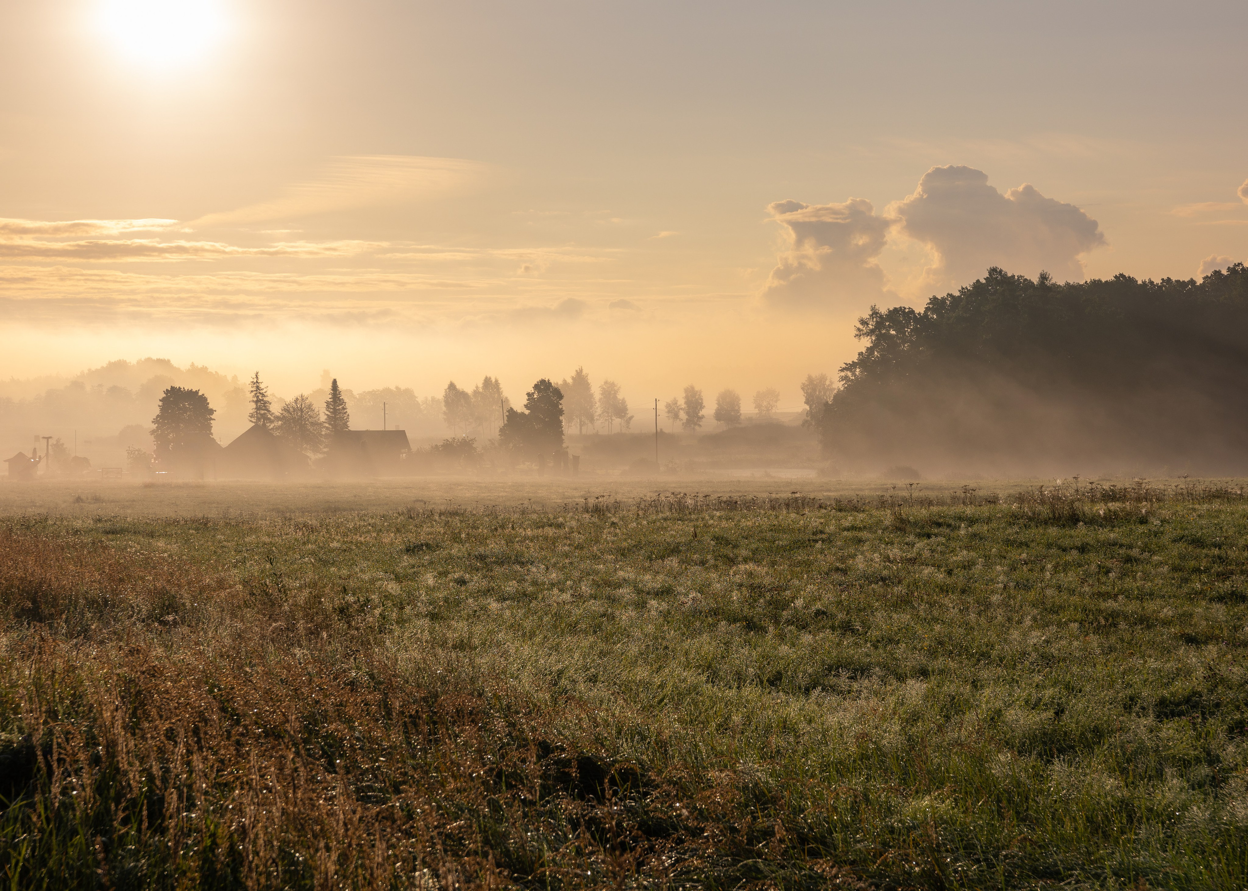 Dažādas fotogrāfijas. Sajūtu un mirkļu fotogrāfs no Rīgas, Mārtiņš Babris