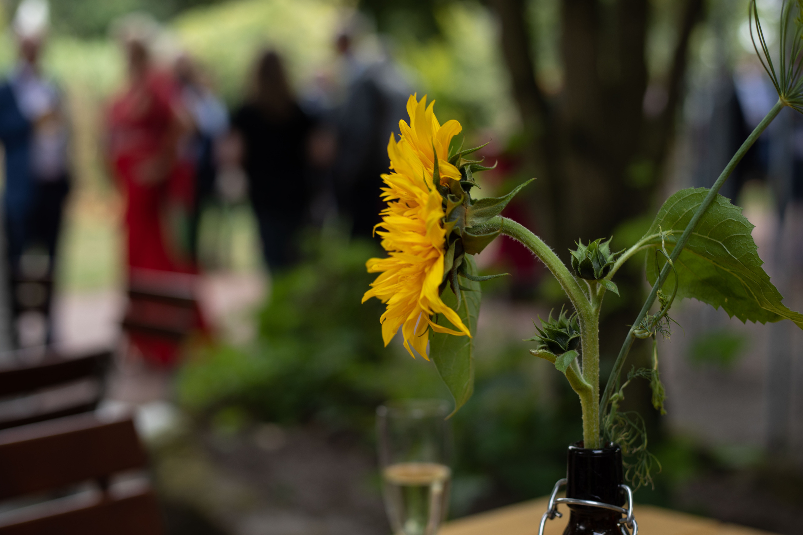 Anna &. Michael, Feier, Emsland. Fotografin und Videografin im Raum Osnabrück und Emsland Alla