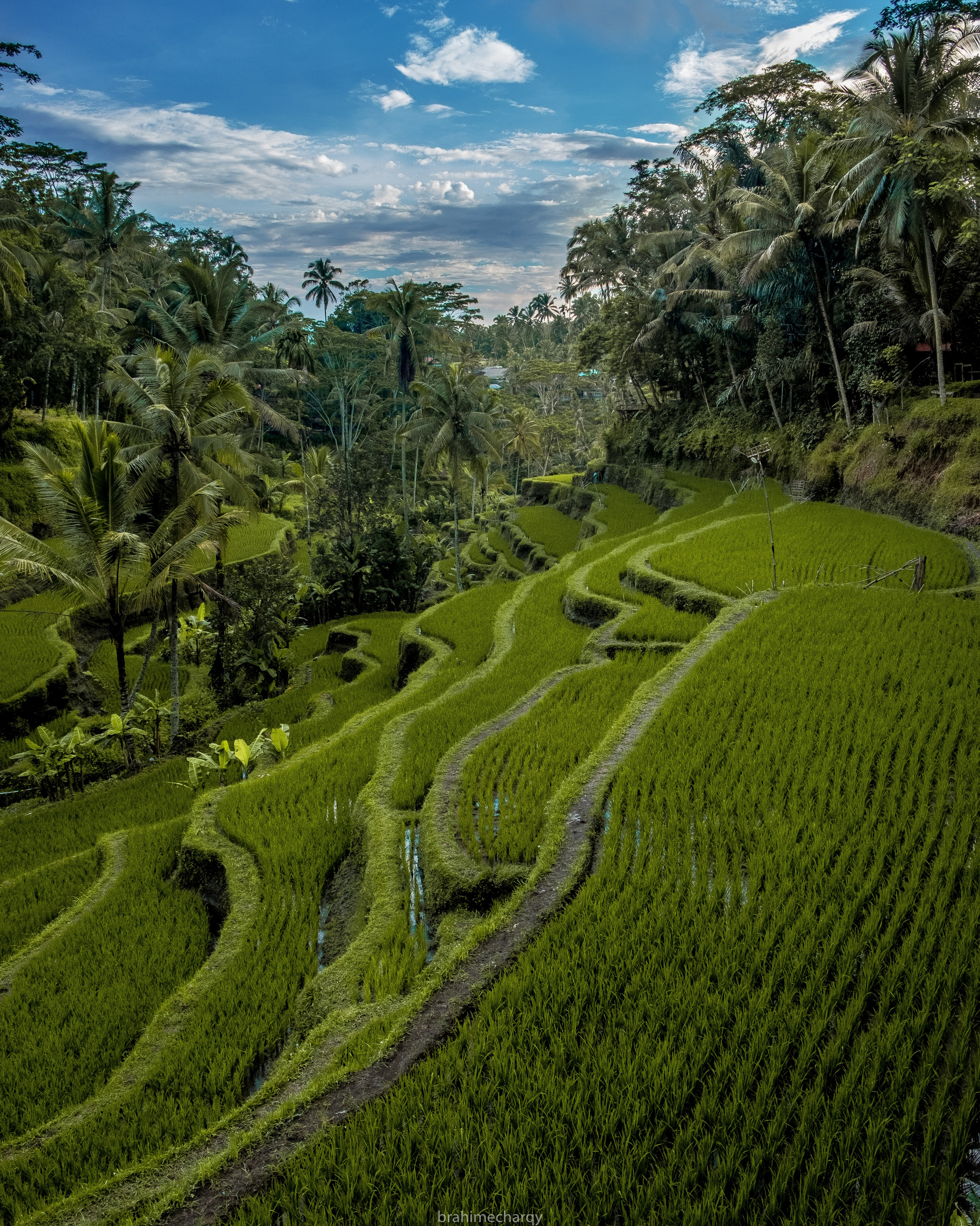 Фото. Брахим — фотограф