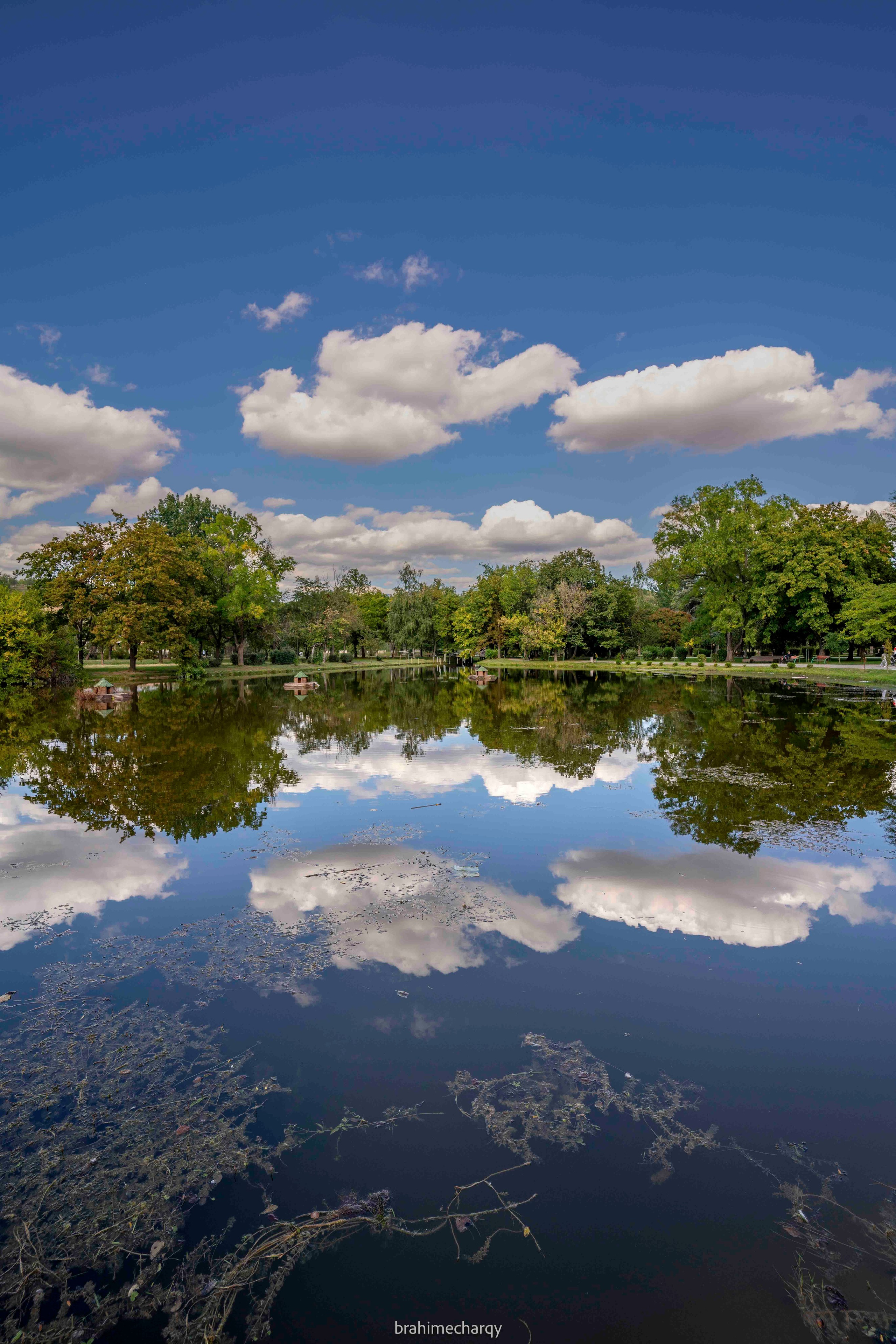 Фото. Брахим — фотограф