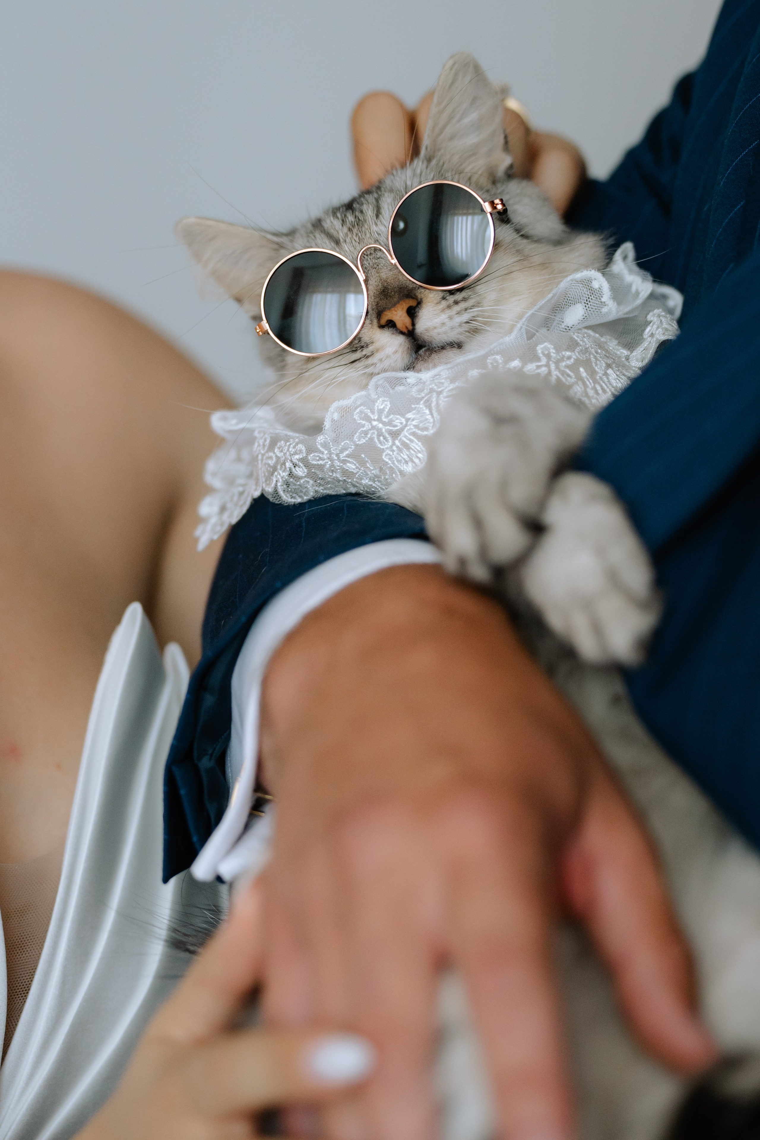 Ioana + Alex | Wedding day | Kalipso Lago. Proud Vision Weddings | Wedding Photography & Films — Servicii profesionale Foto Video Nunta Iasi
