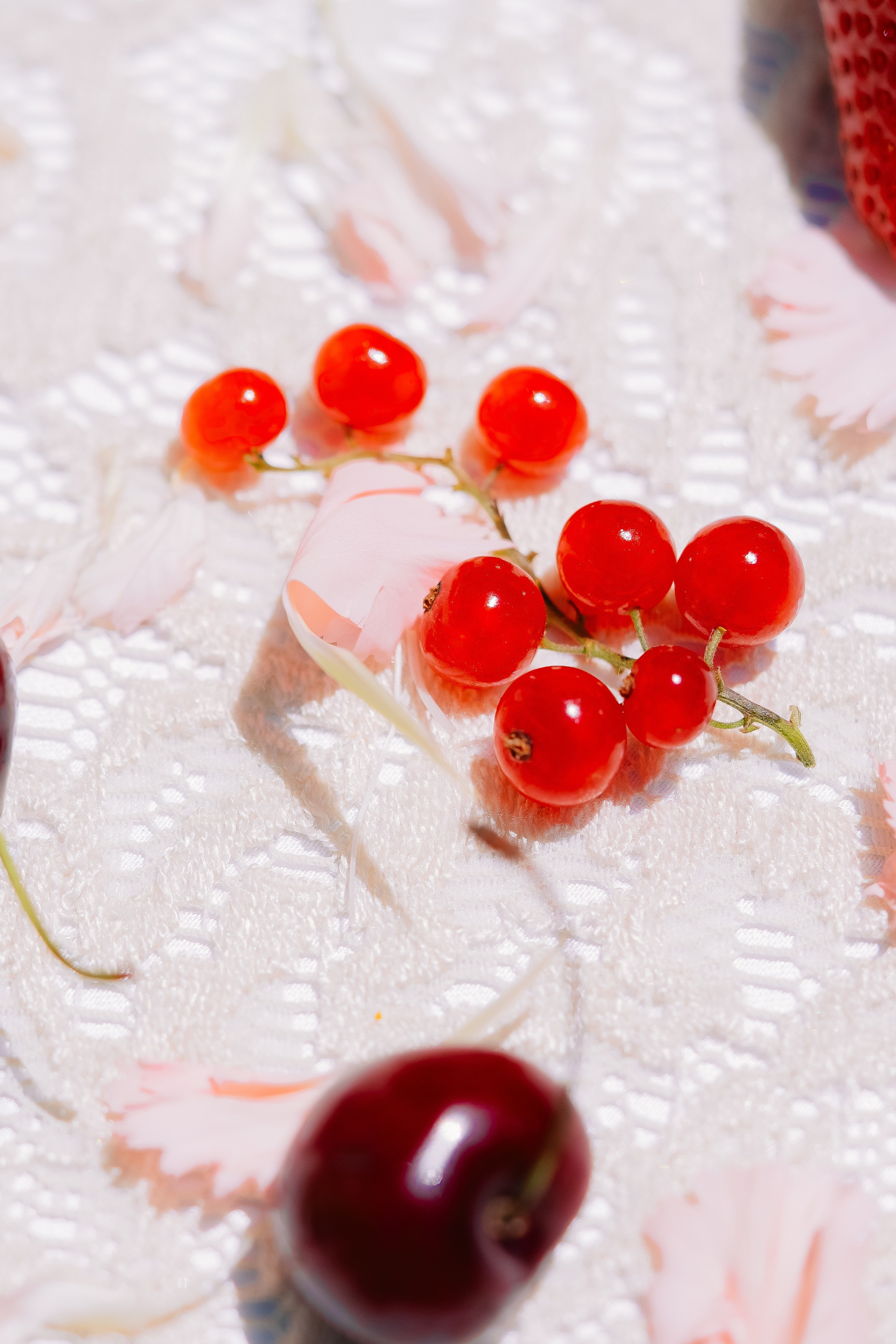 Garden Tea Party. Мария Шер. Профессиональный фотограф в городе Порту, Португалия