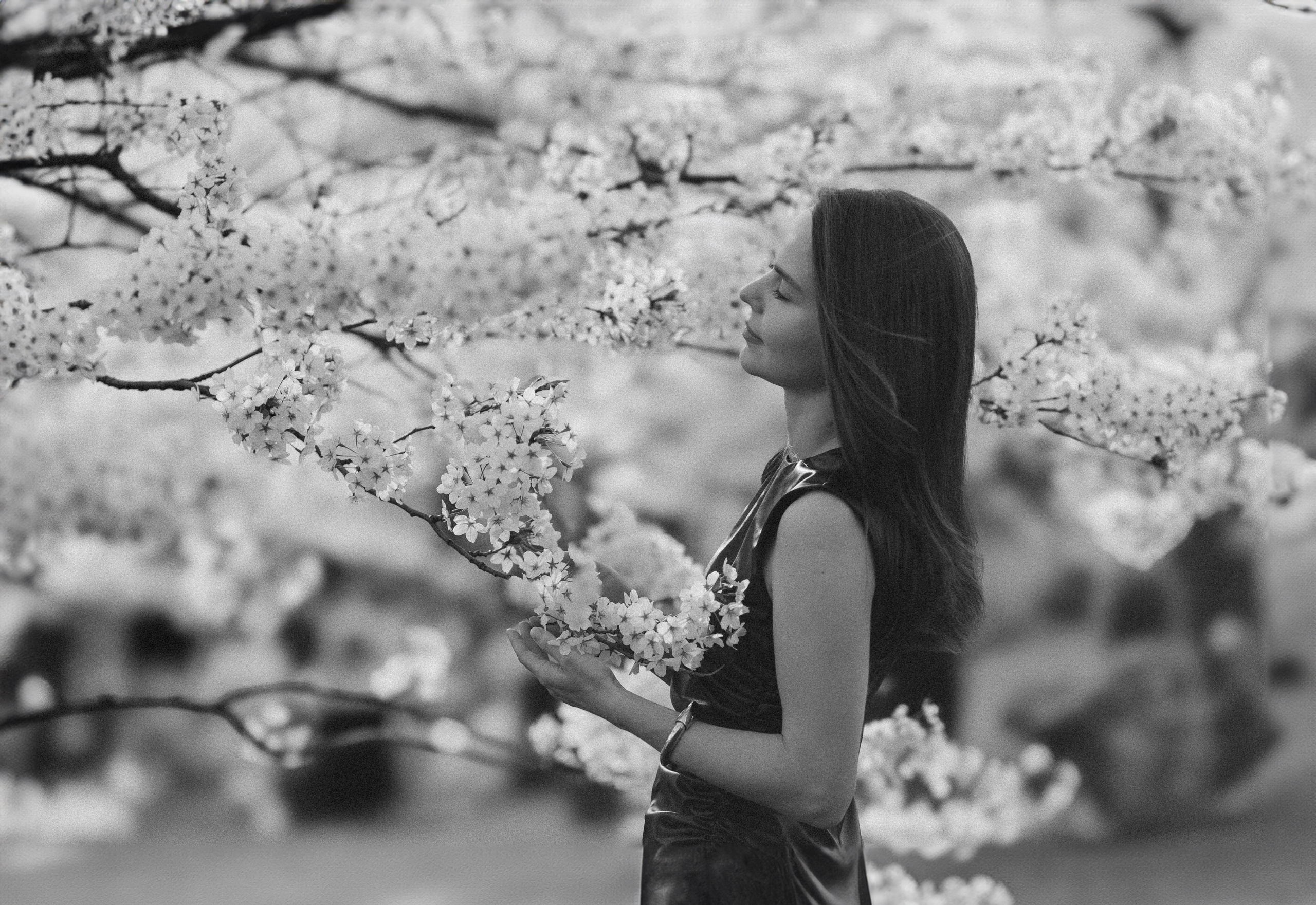 Прогулка Ольги в сакуре. Family photographer in Vilnuis Svetlana Naumova