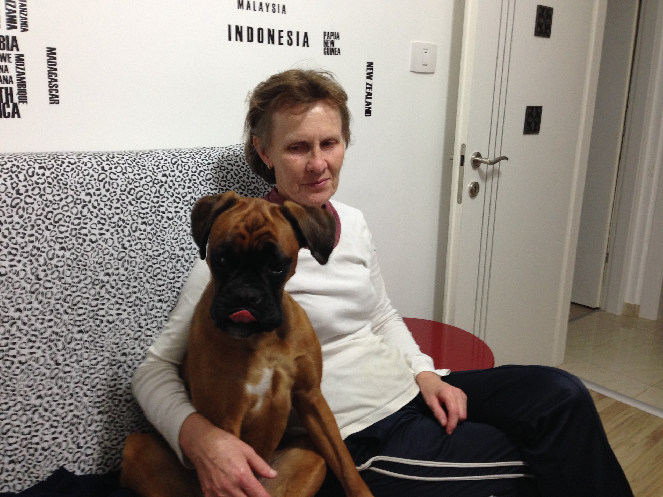 My ״Star״ Boxer Dog