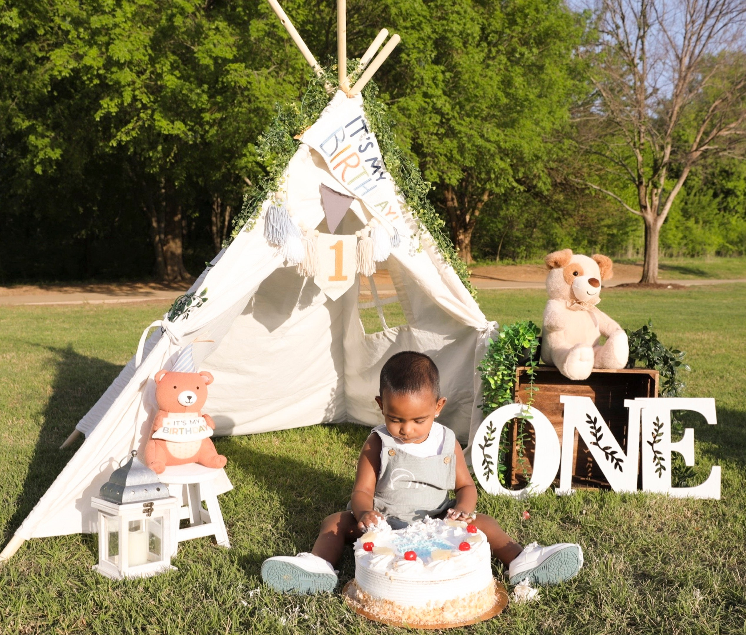 Cakesmash. AP Lens Photography | Newborn, Maternity, Milestone & Family Photographer Little Elm TX