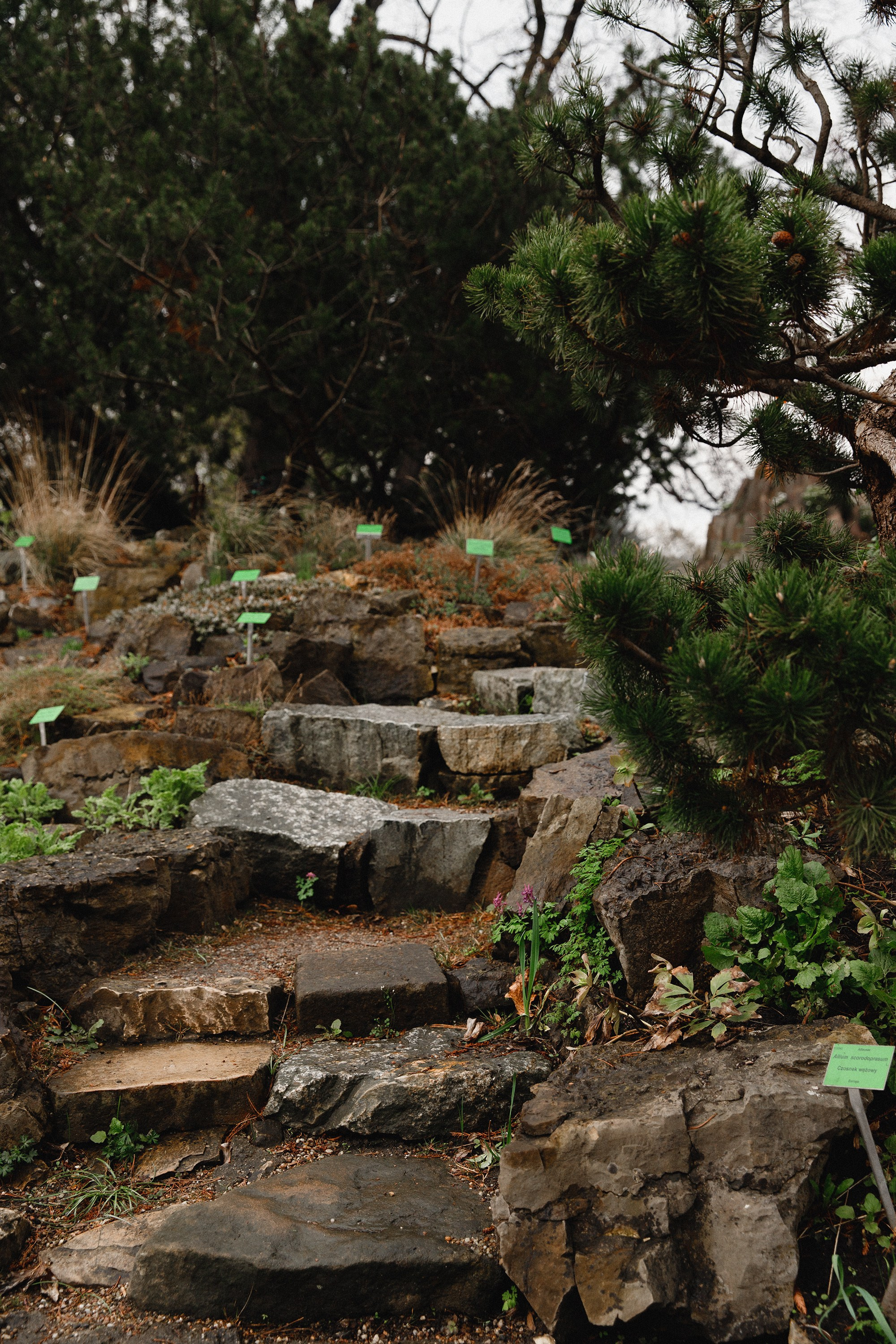 Botanical garden in Wroclaw. Kaja | fotograf we Wrocławiu | ludzie i psy
