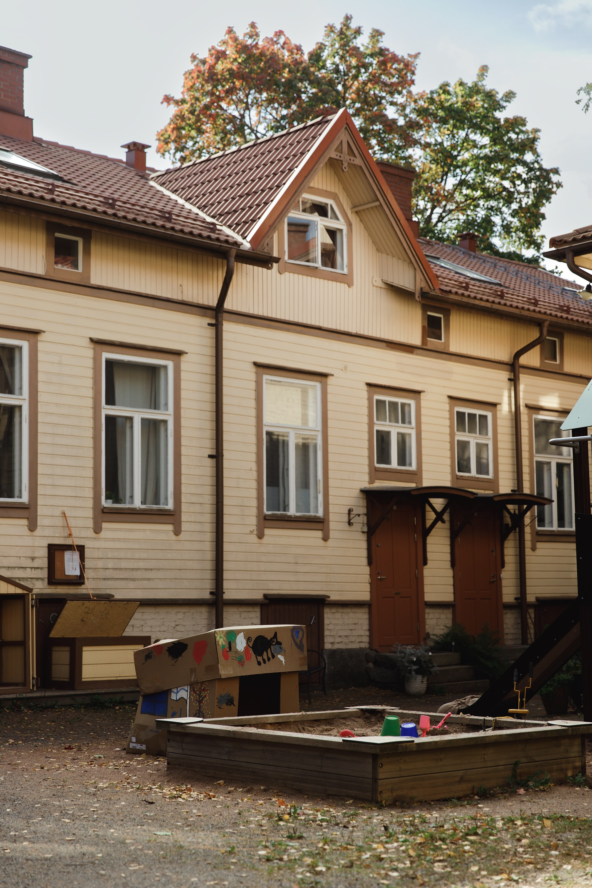 Turku. Kaja | fotograf psów we Wrocławiu