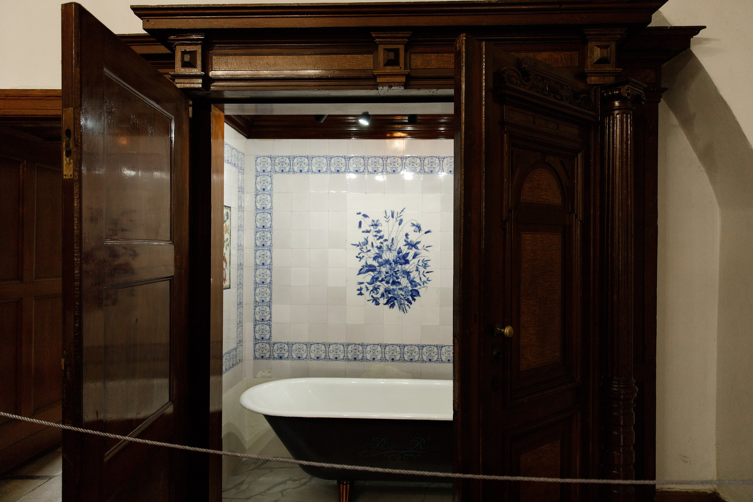 Oleśnica castle. Kaja | fotograf psów we Wrocławiu