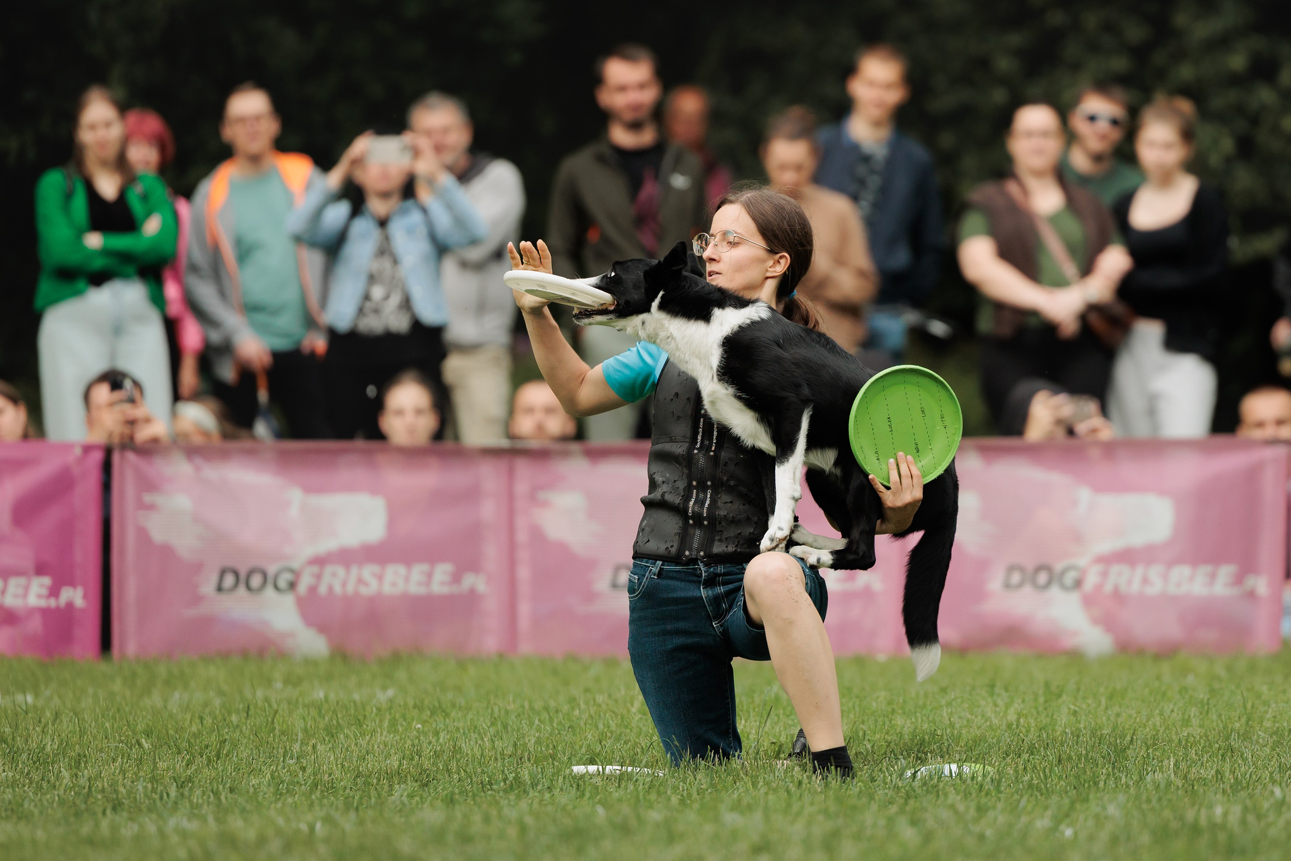 Latające psy, Wrocław'25. Kaja | fotograf psów we Wrocławiu