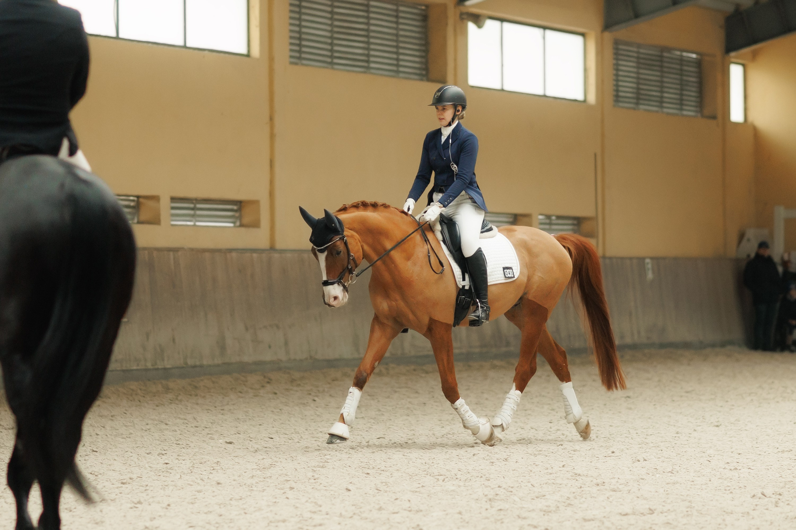 Partynice dressage \ feb'25. Kaja | fotograf we Wrocławiu | ludzie i psy