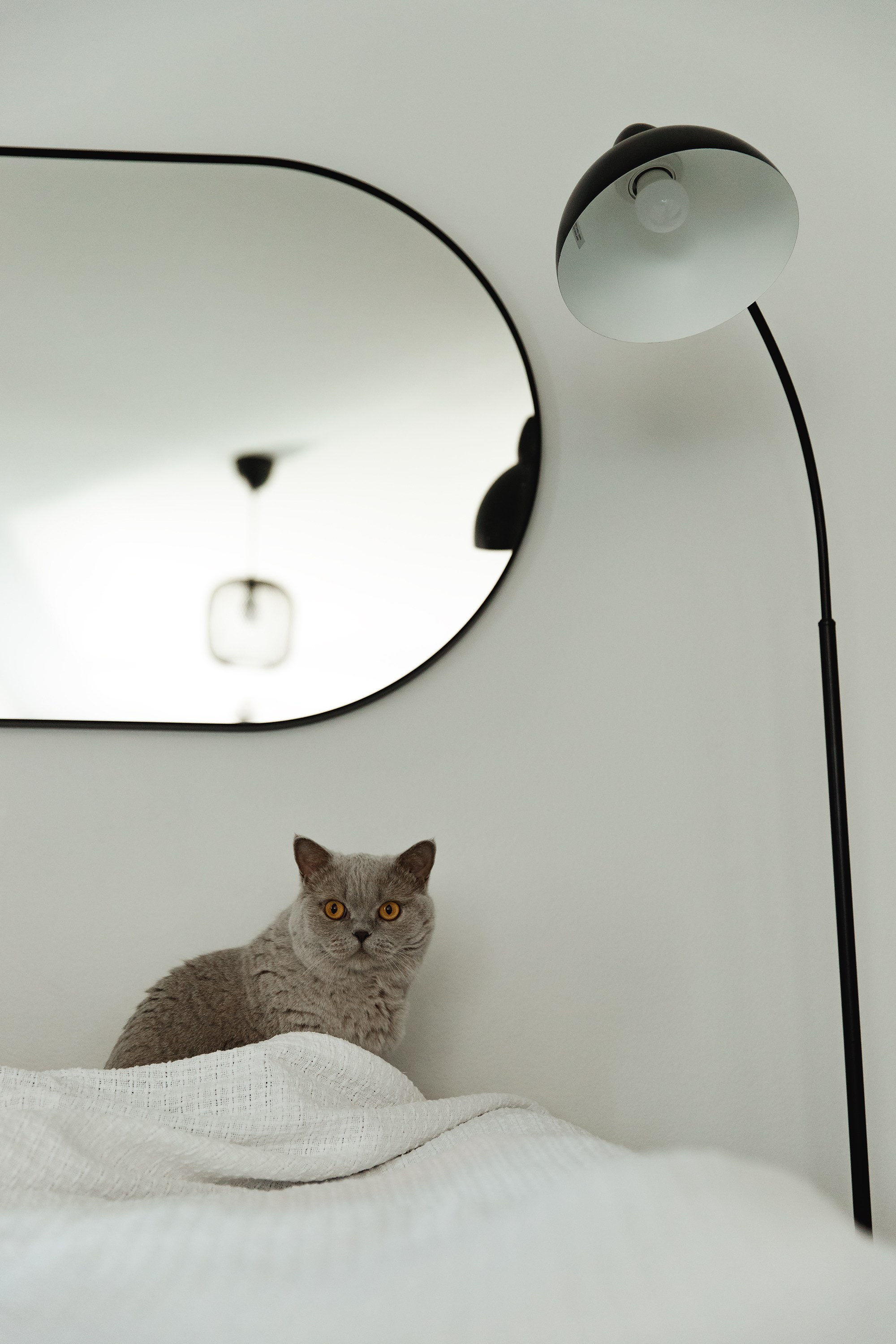 Boczka & Dimitrii. Kaja | fotograf we Wrocławiu | ludzie i psy