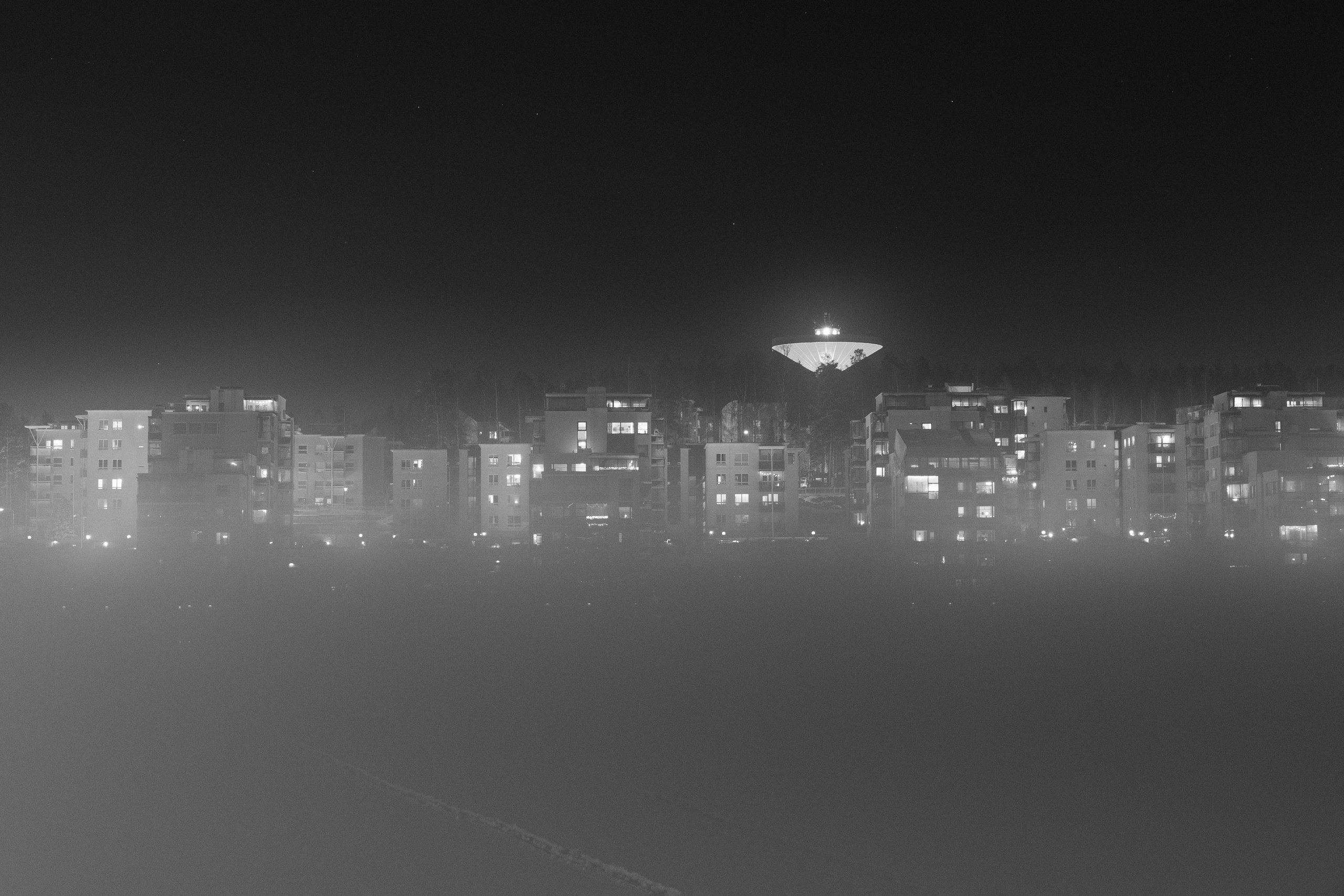 Friends or foes. Maija Bondar Photographer