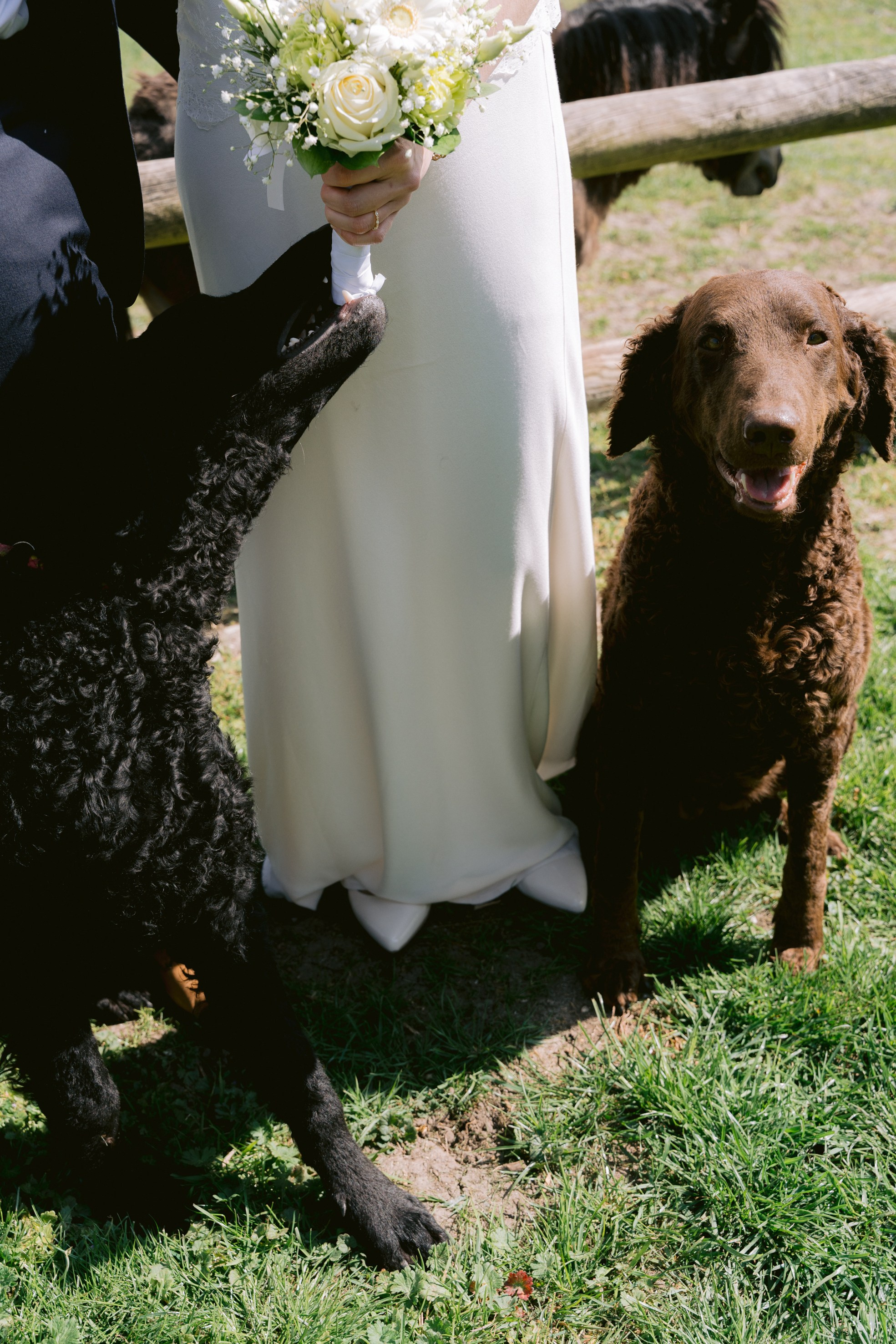 Wedding Day. Little Birdie – Jouw familie- en huwelijksfotograaf in België en daarbuiten
