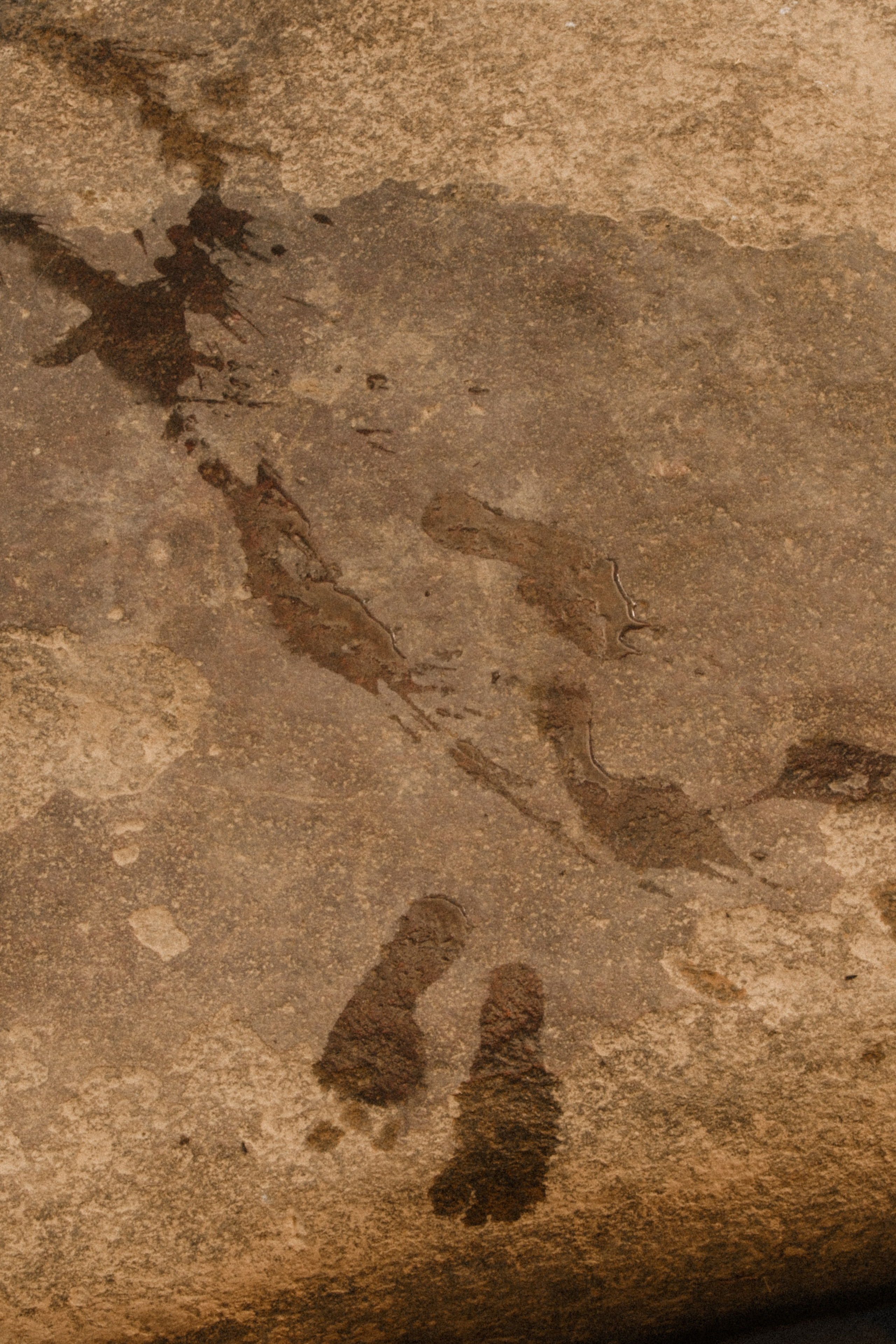 Footstep marks left on a rock after a boy walked on it during a family session at James River