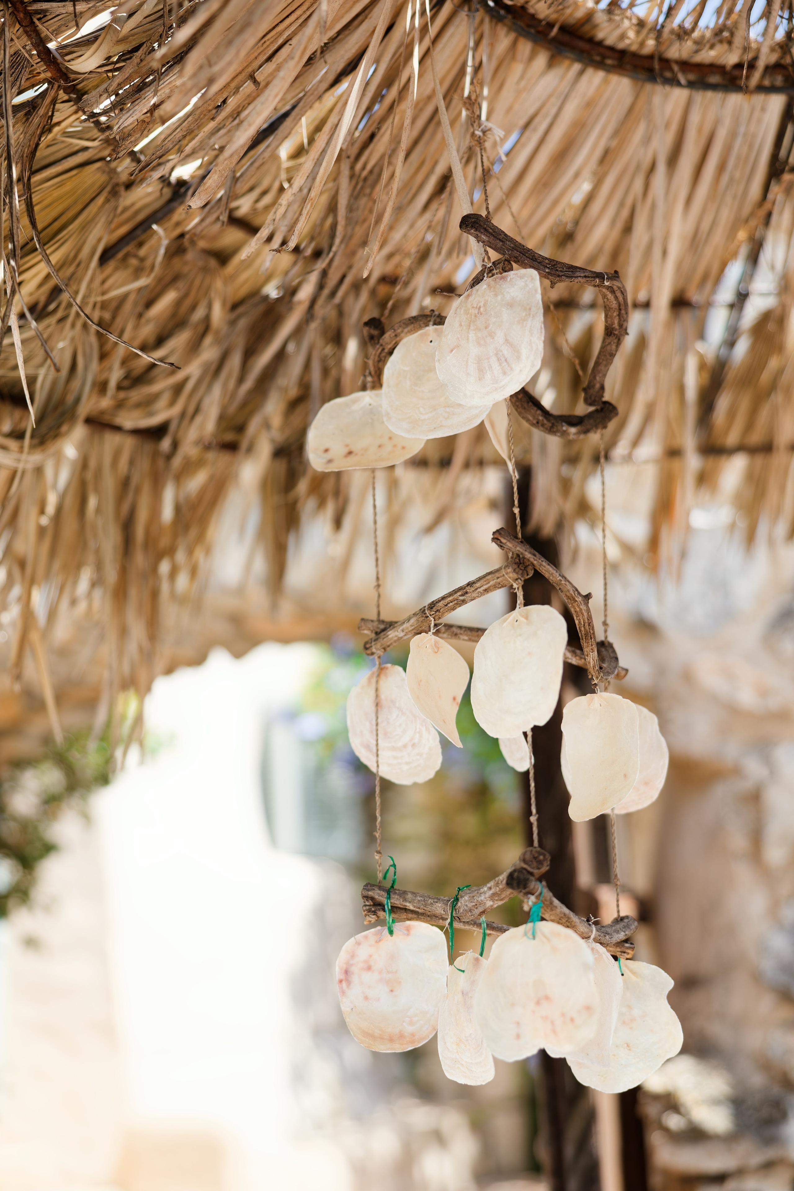 Haldi Ceremony & Mehndi Night & pre-wedding dinner, Barcelona