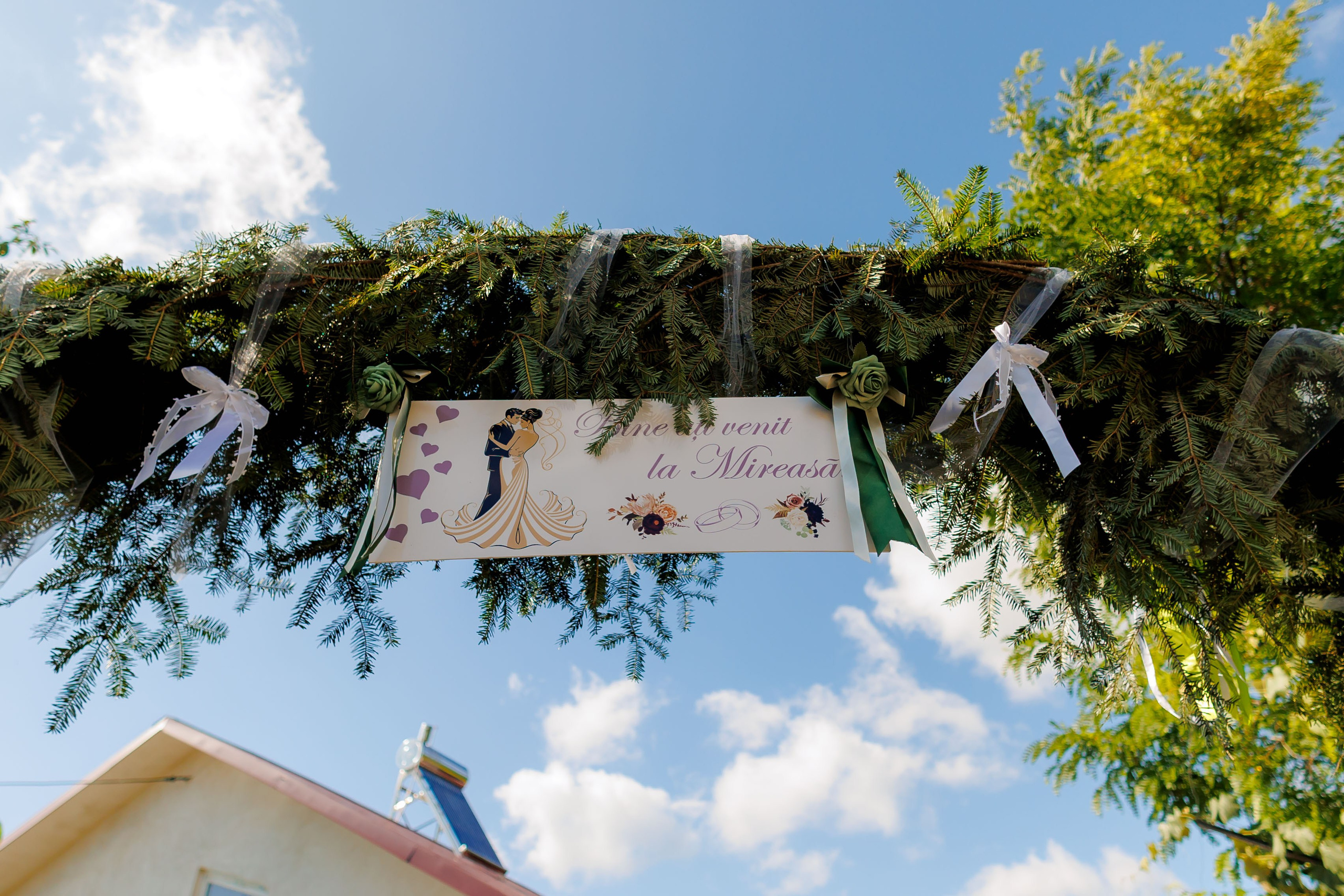 Nunta Nicoleta & Răzvan | Fotografie & Videografie Profesională. Servicii foto-video profesionale, pentru momente de neuitat