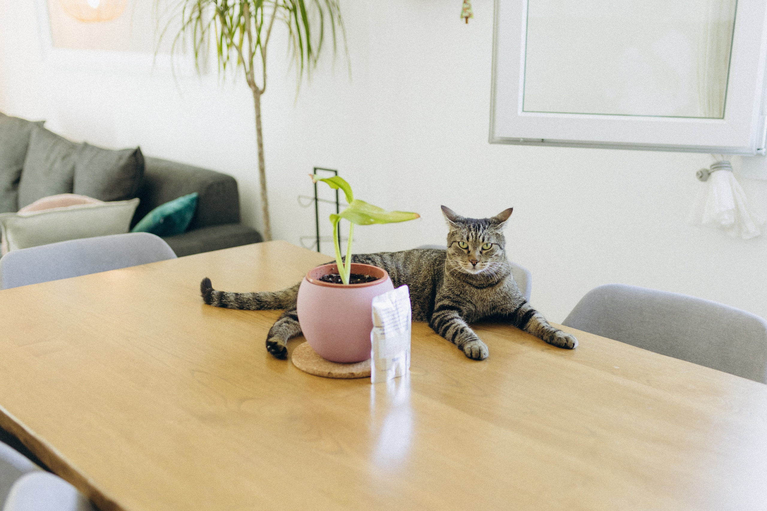 Andrea e Vanessa. Fotografo a Ravenna Nataliya Samsonova
