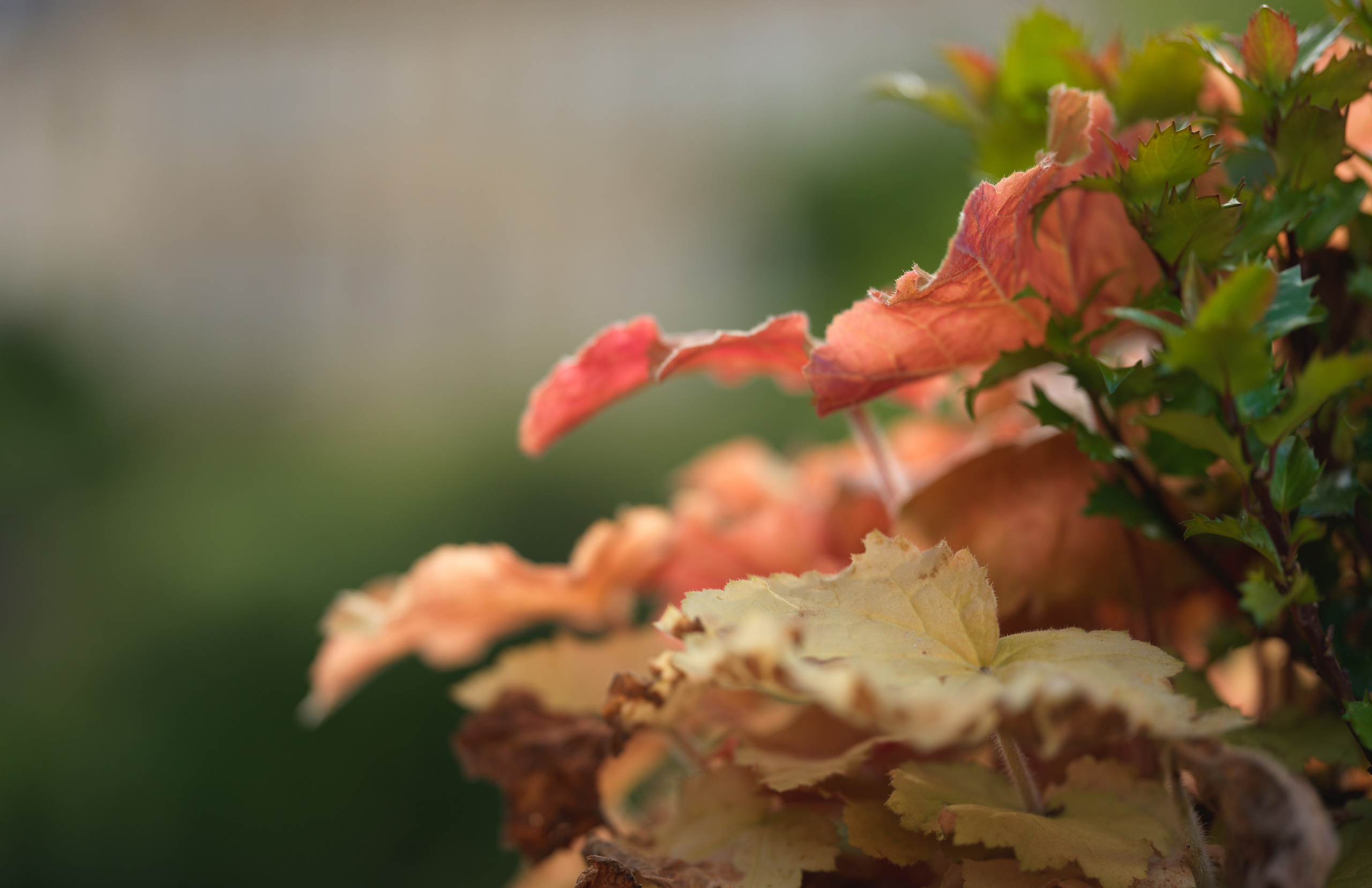 Fotograf, Stuttgart für Travel, berge, architekur, portraits, porträts, landschaften, polas