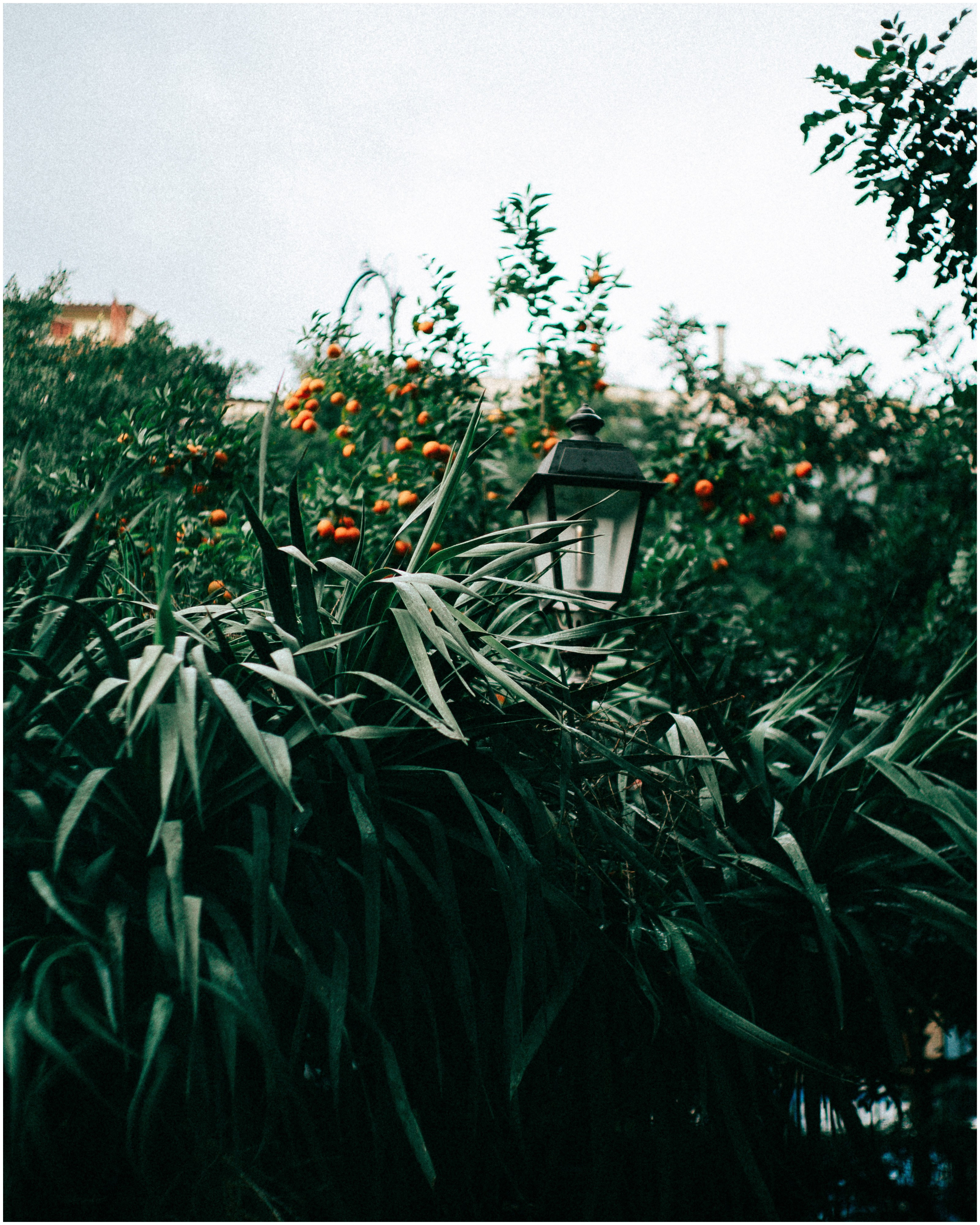 PALERMO. Photographer Inna Mendelson