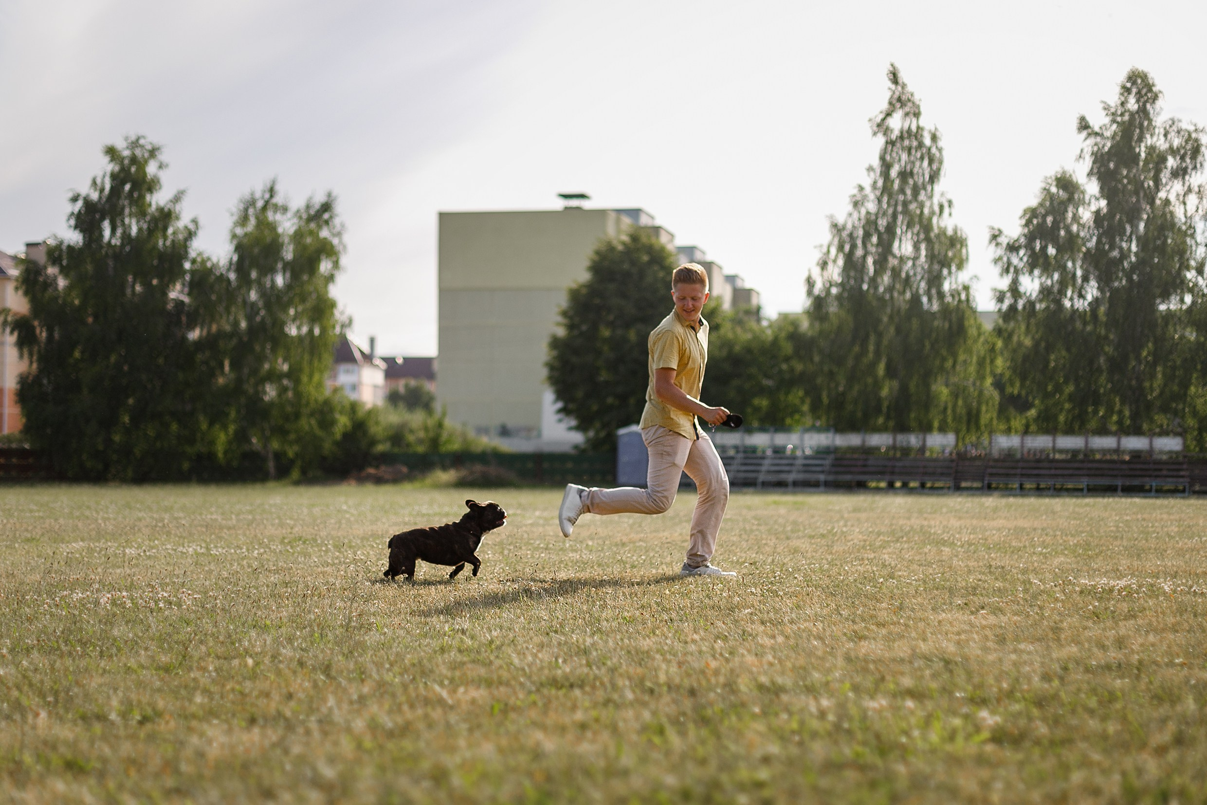 Dog shows | the best ones. Kaja | fotograf psów we Wrocławiu