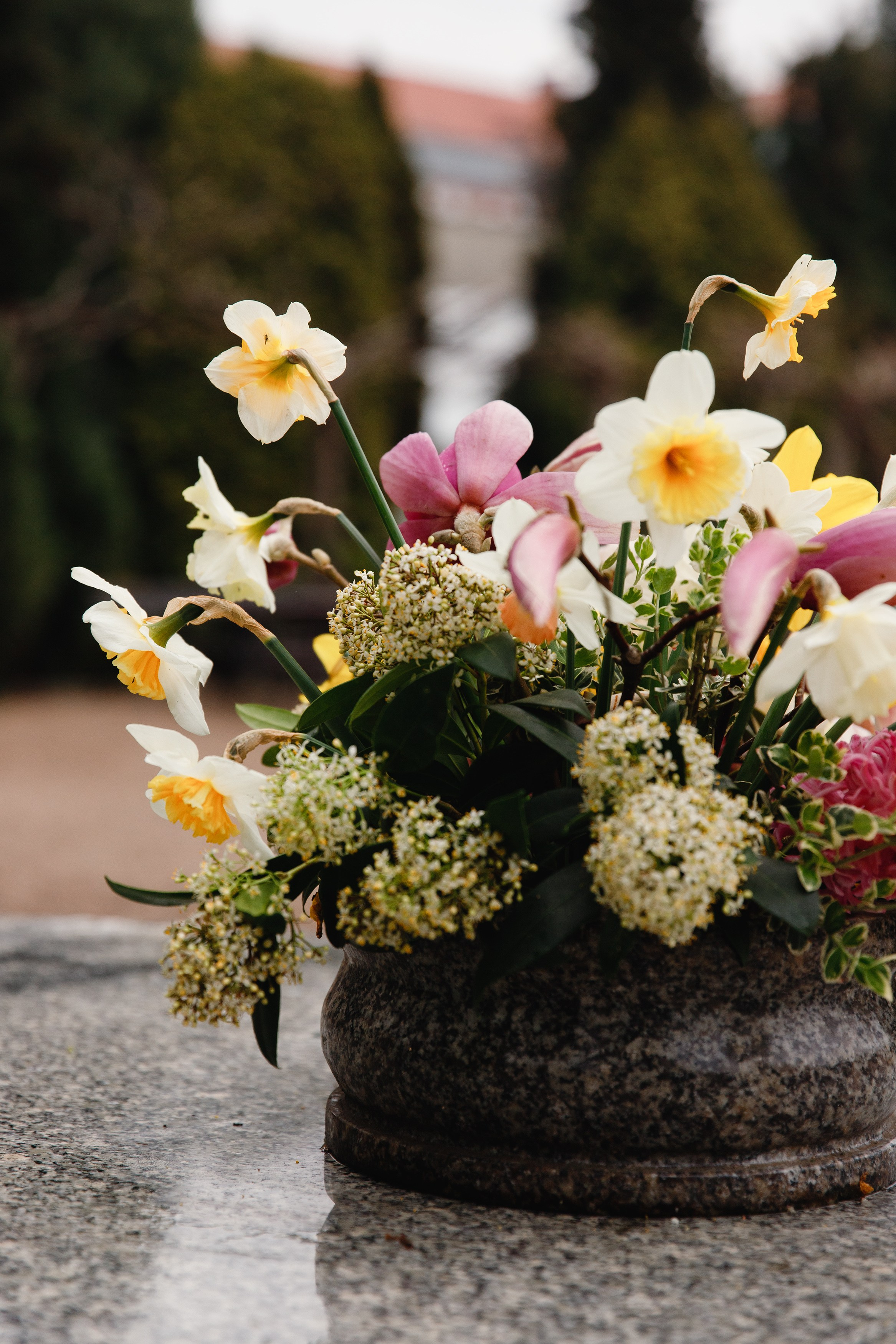 Botanical garden in Wroclaw. Kaja | fotograf we Wrocławiu | ludzie i psy