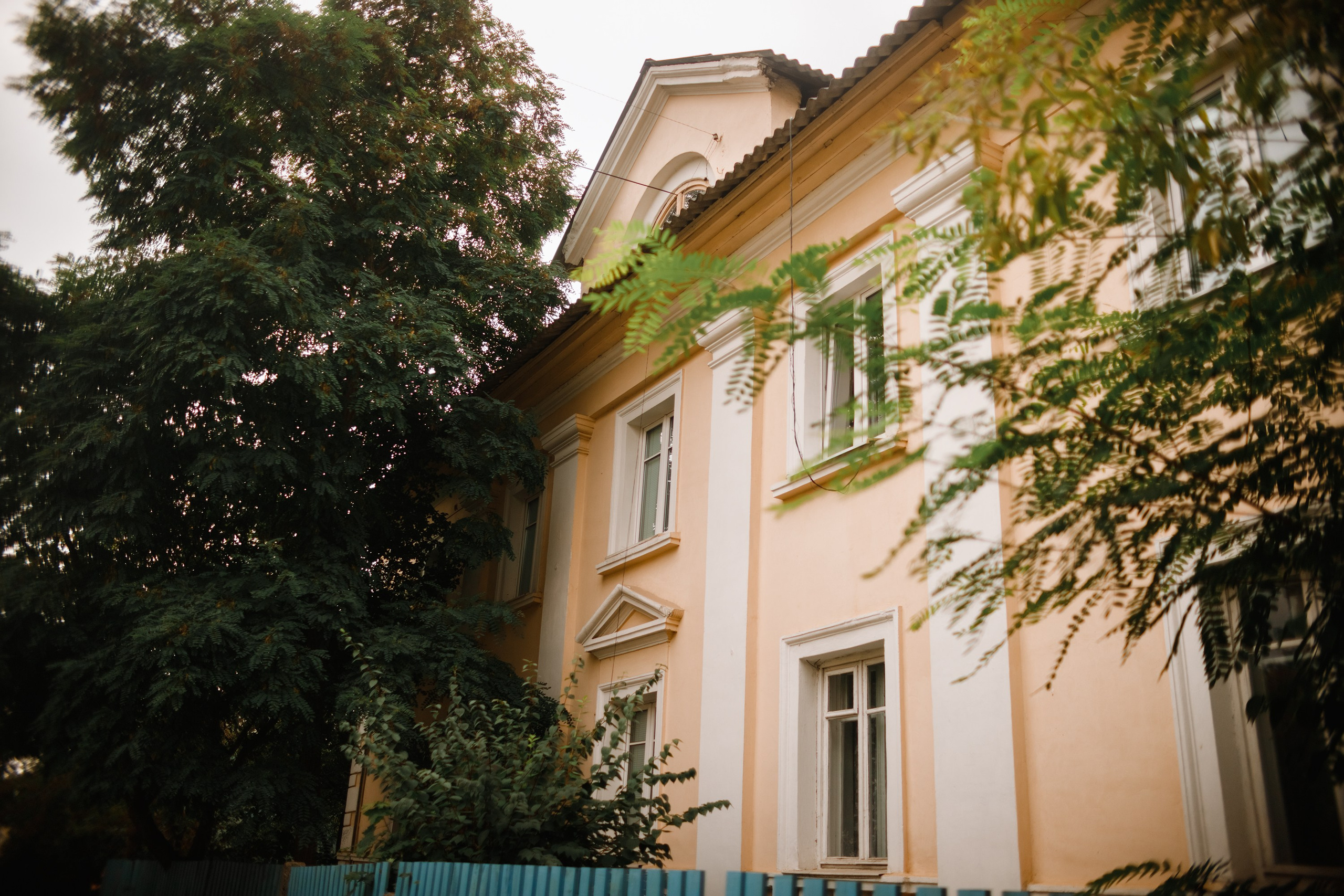 Grodno. Kaja | fotograf we Wrocławiu | ludzie i psy