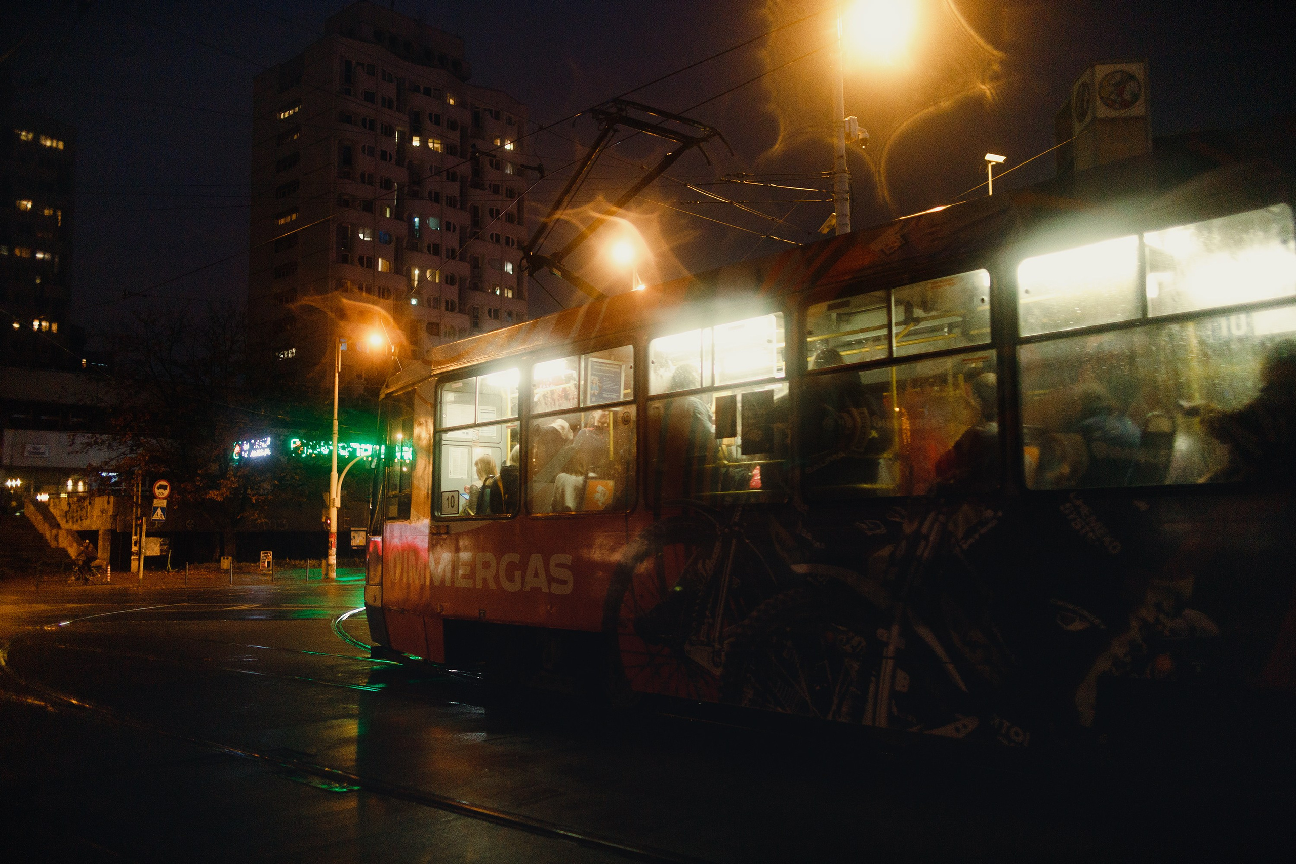 Night rainy Wroclaw. Kaja | fotograf psów we Wrocławiu