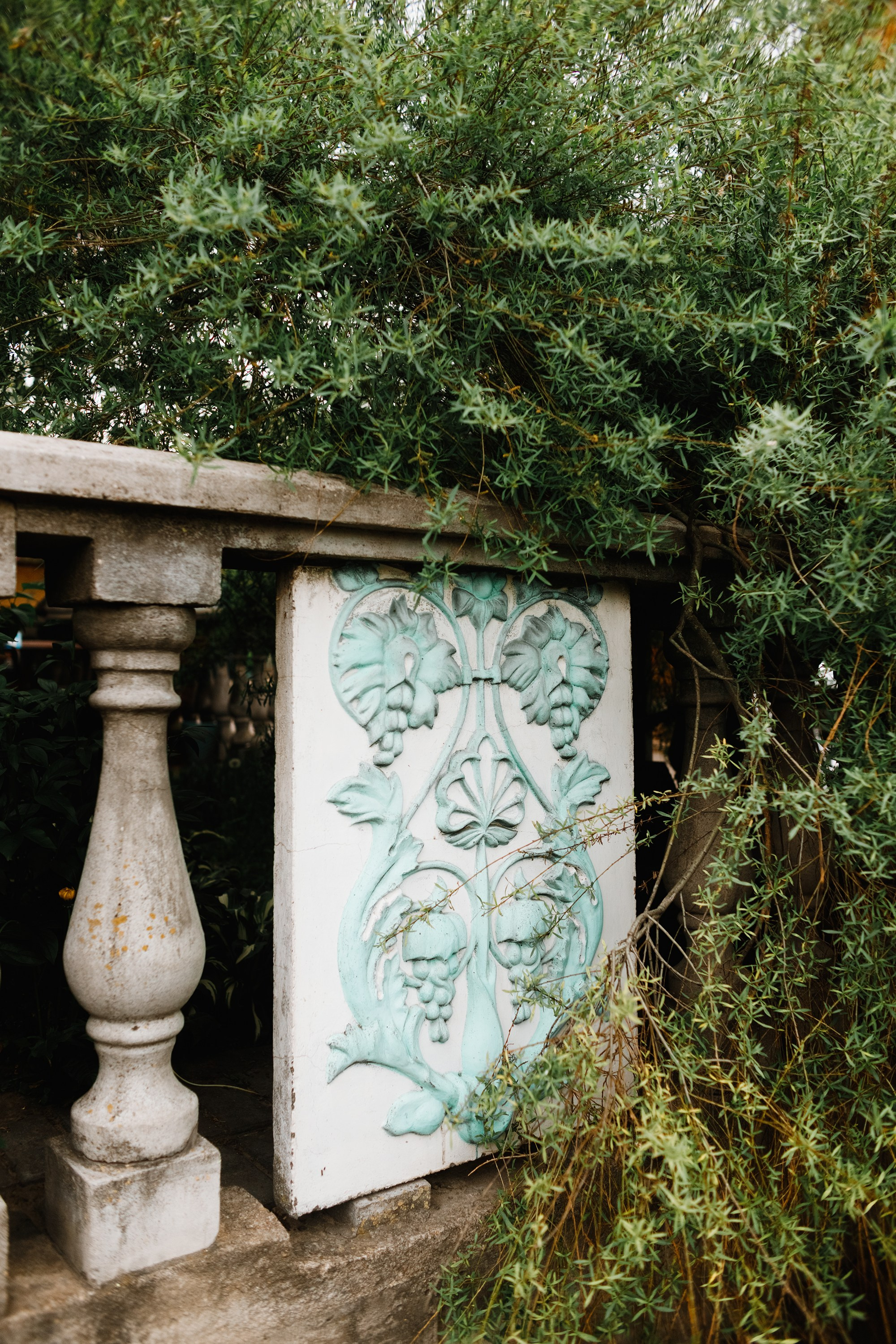 Grodno. Kaja | fotograf we Wrocławiu | ludzie i psy