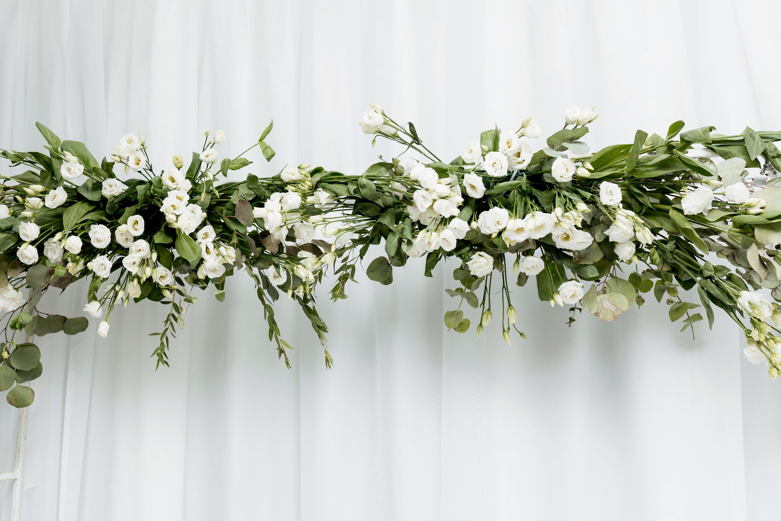 Софія та Юрій. Ірина Терещук