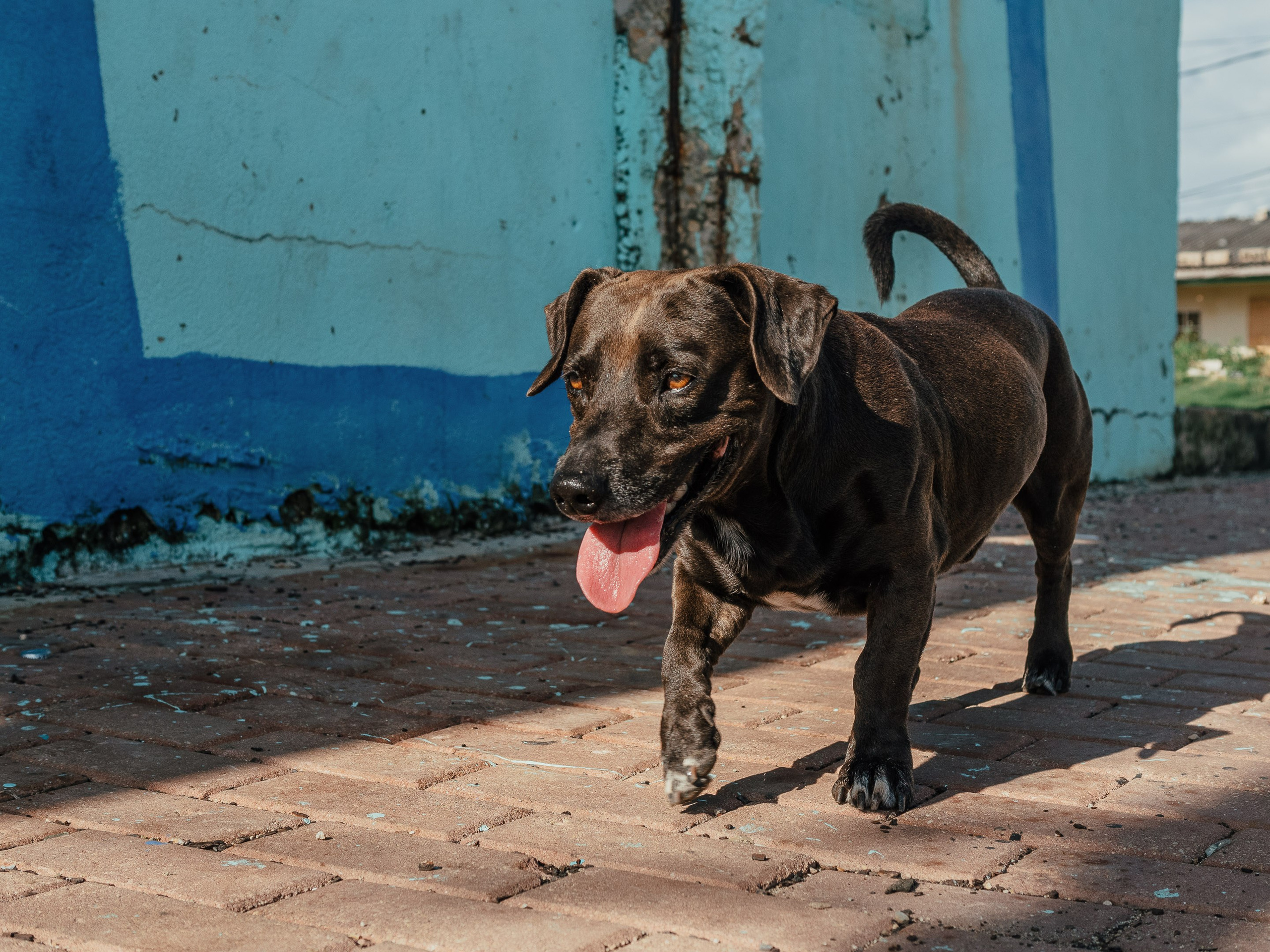 San Andres Island, Colombia. Federico Borobio, street and documentary photography.