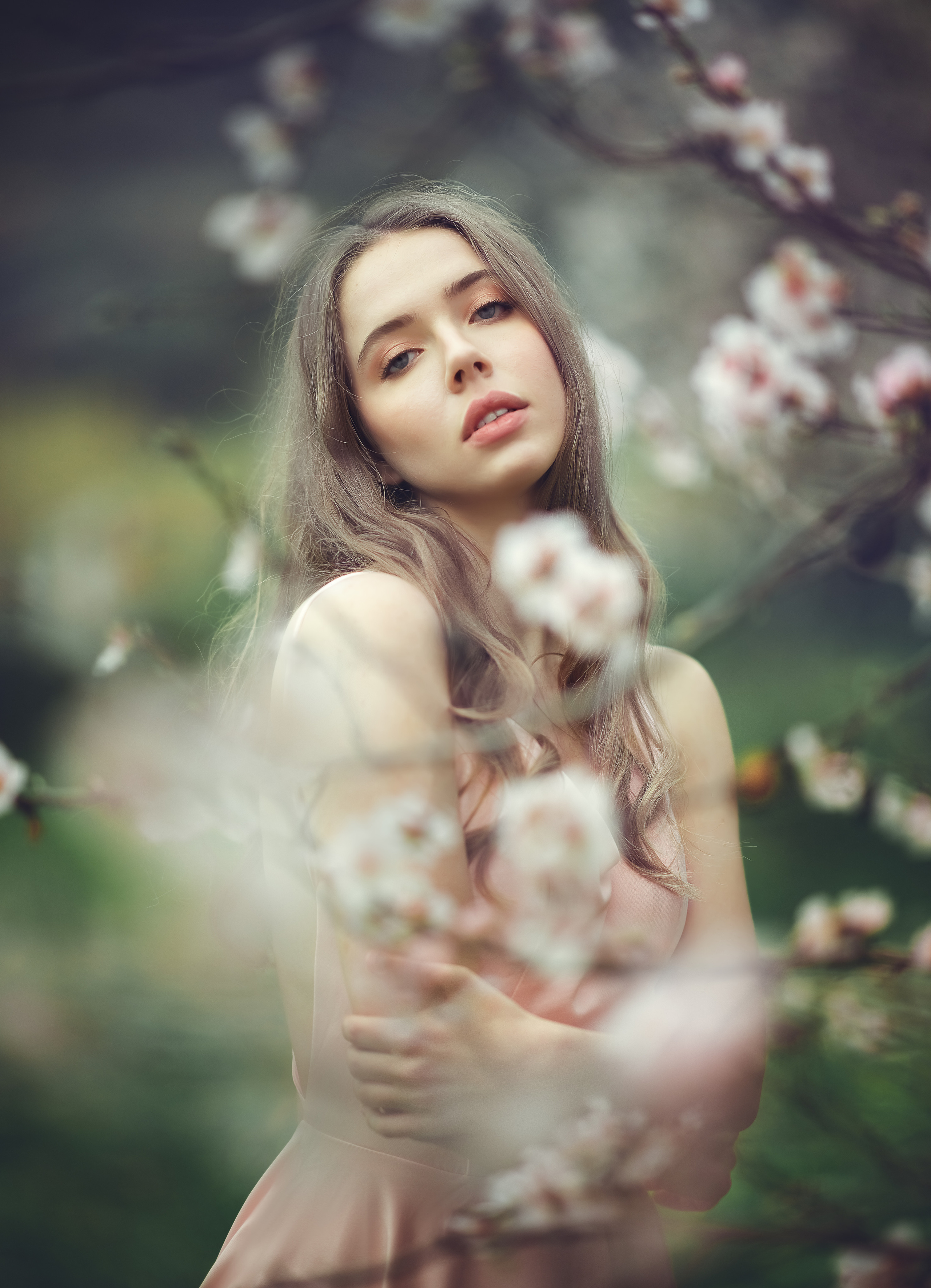 В миндальном саду. Фотограф на Кипре