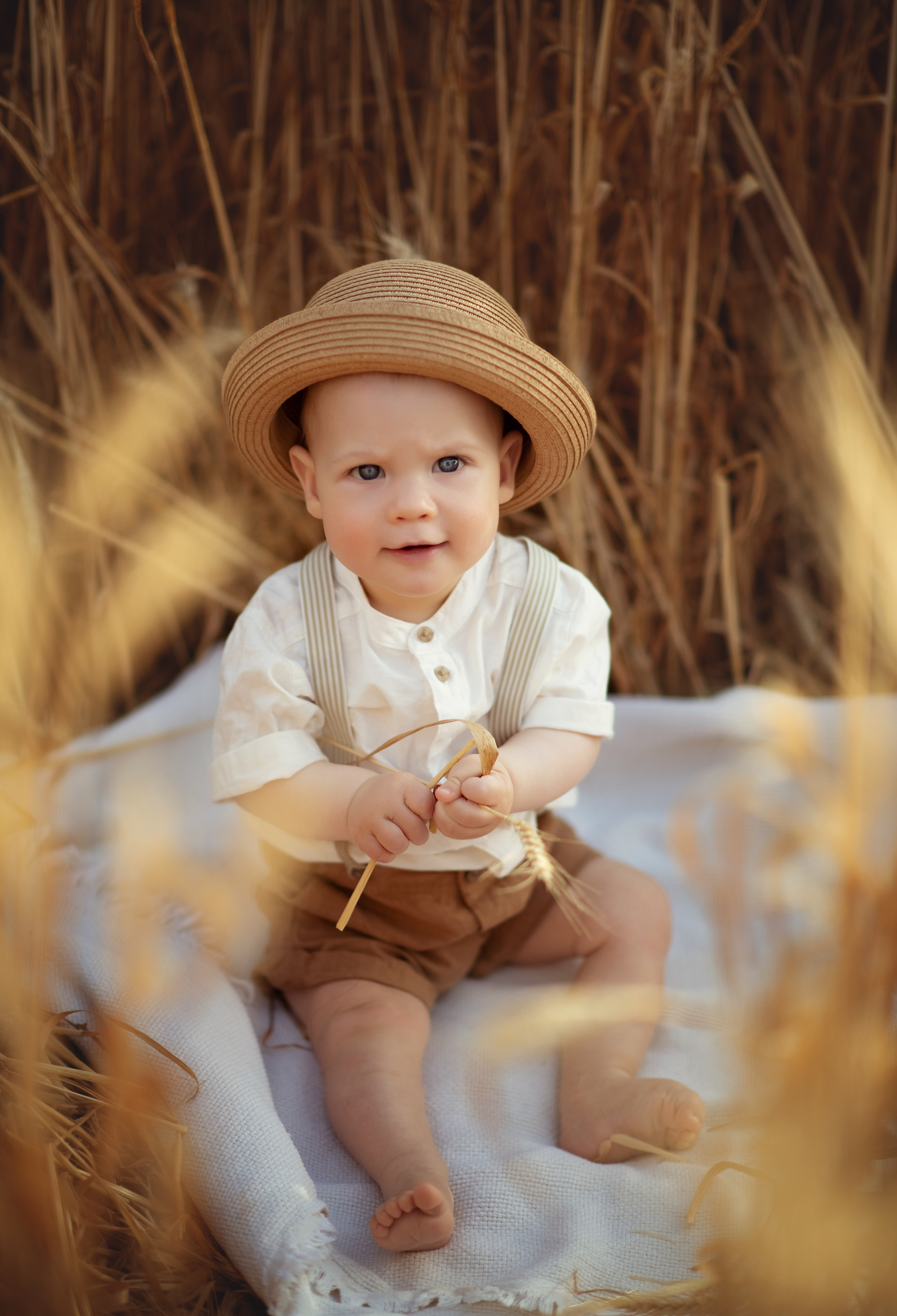 На пшеничном поле. Фотограф на Кипре