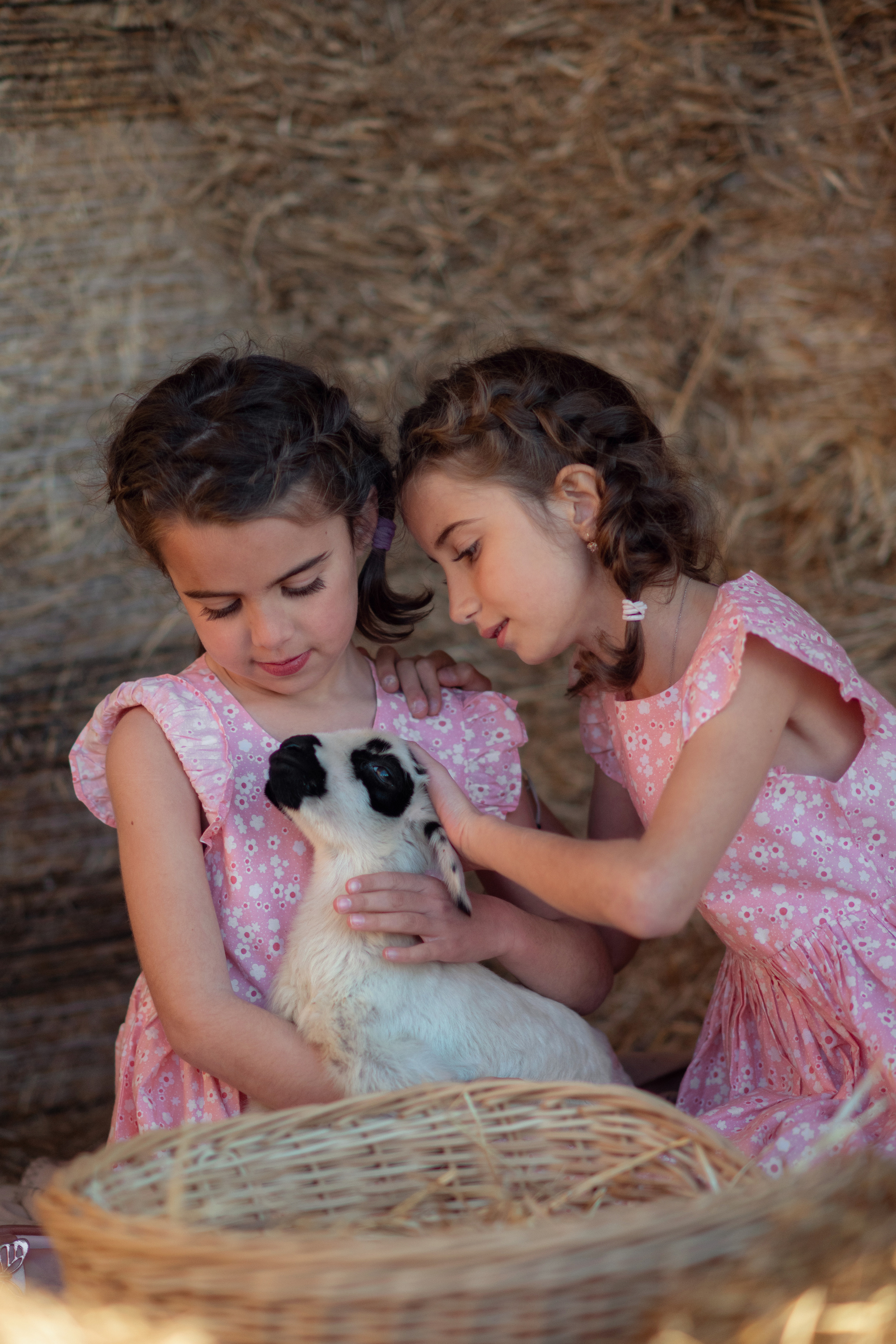 Сестрички с овечкой. Фотограф на Кипре