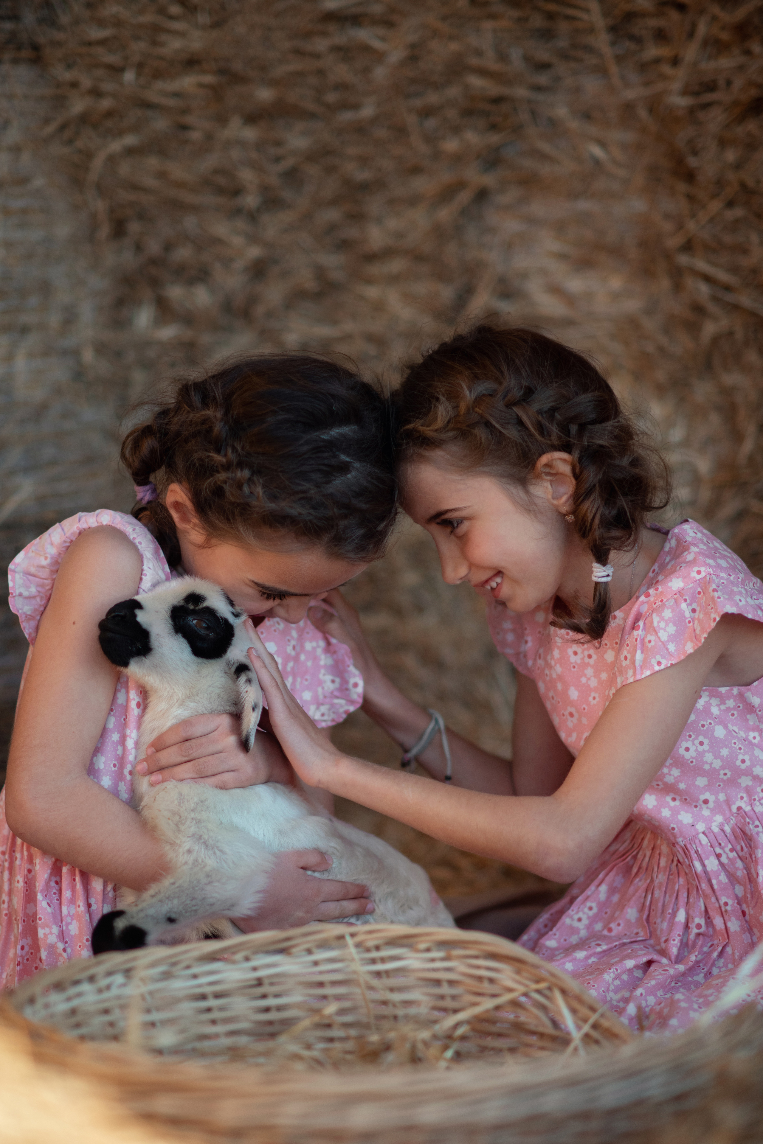 Сестрички с овечкой. Фотограф на Кипре
