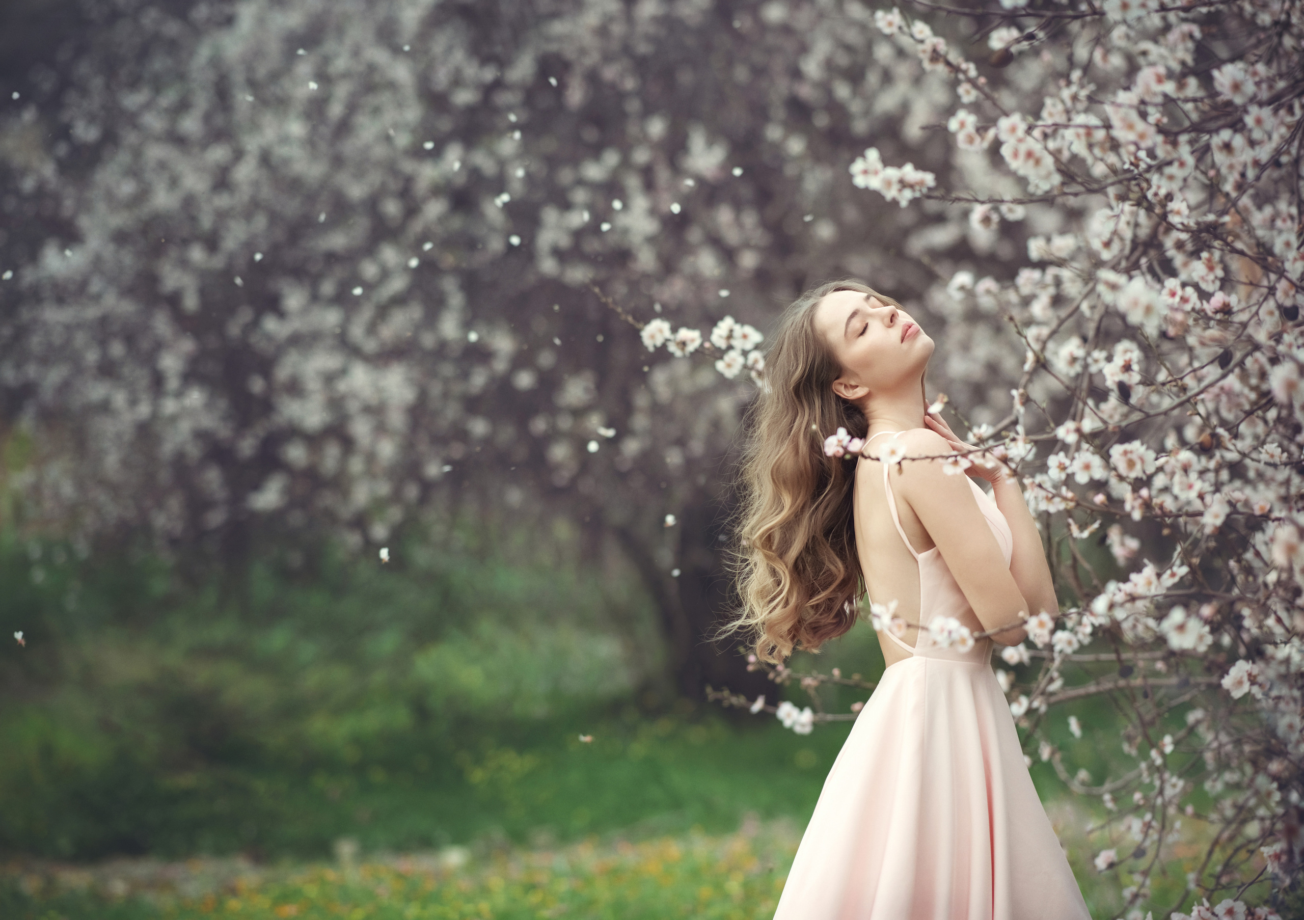 Аренда шлейфовых платьев. Фотограф на Кипре