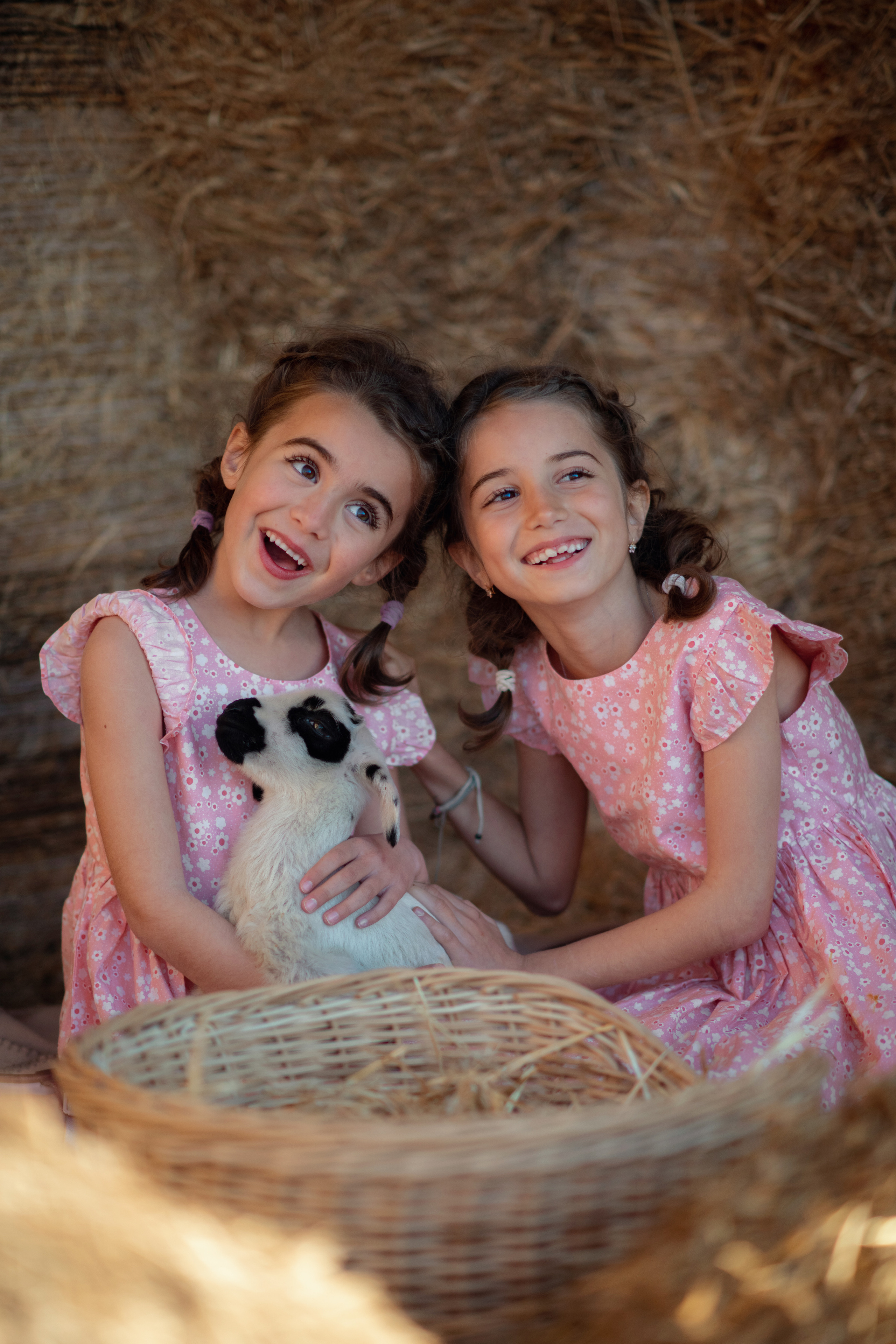 Сестрички с овечкой. Фотограф на Кипре