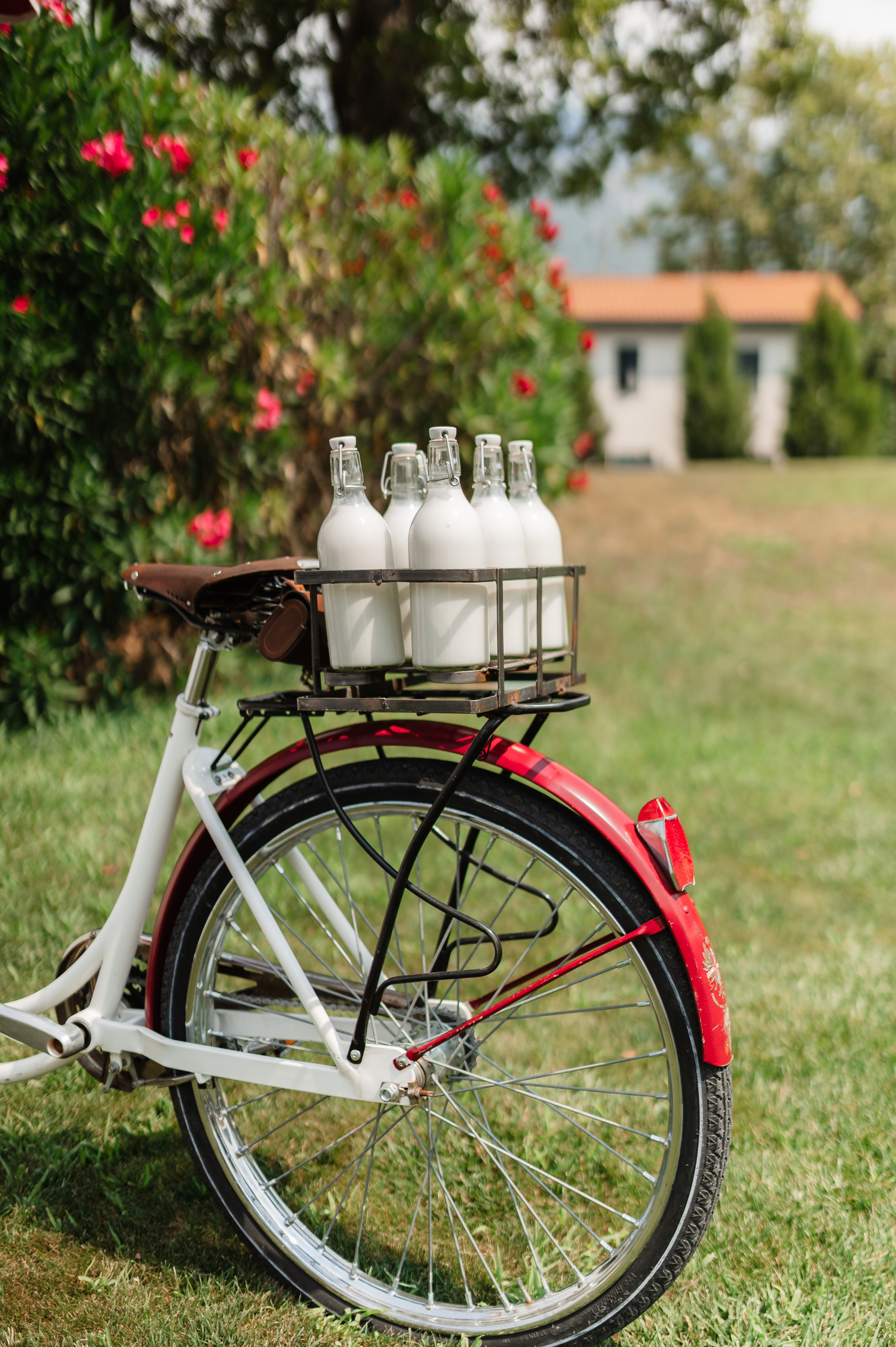 Naila & Oliver’s Wedding at Villa Balbianello, Lake Como. YES I DO PRODUCTION — Wedding photography&videography