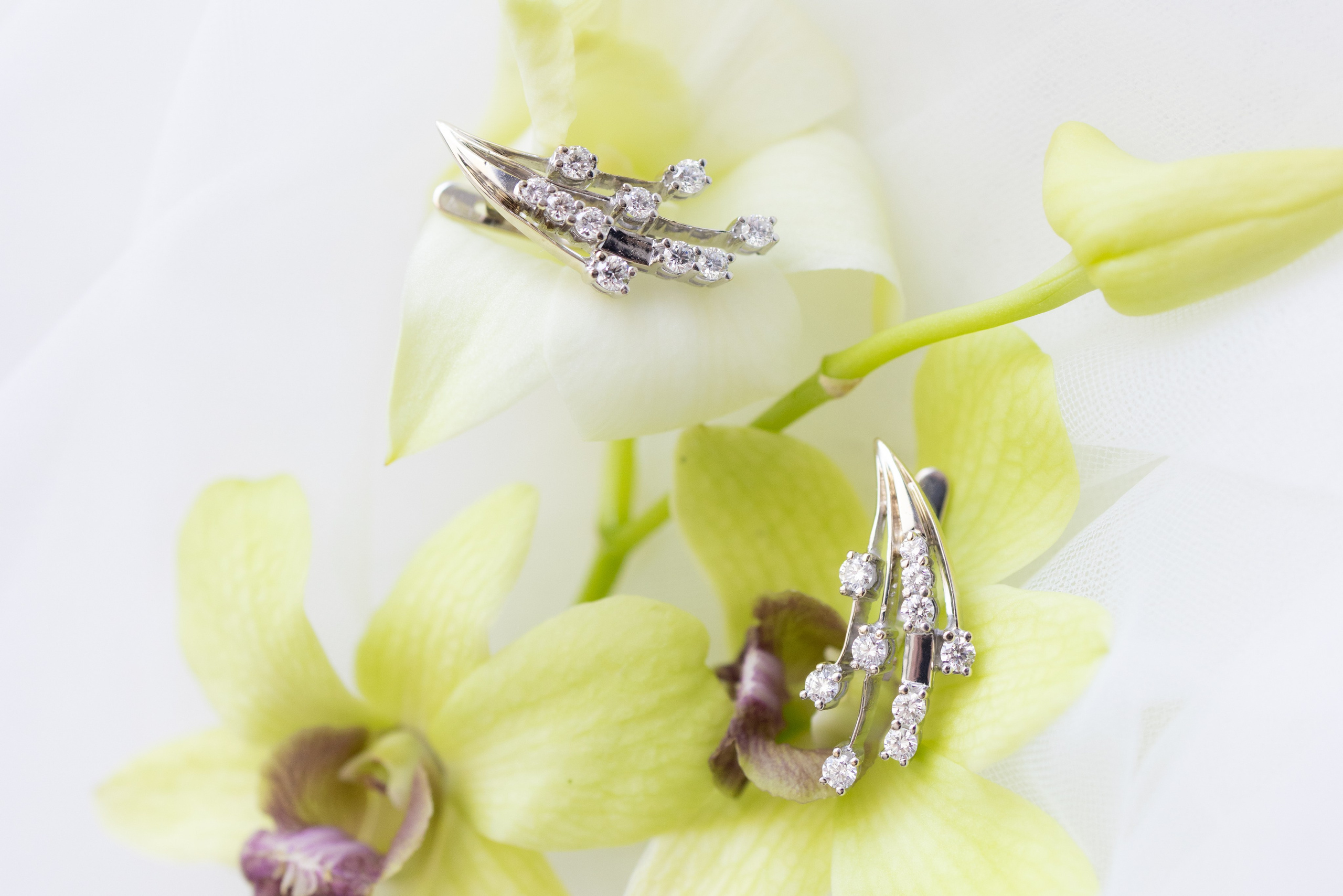 Daniella & Gurshum Wedding, Miami FL. Wedding Photo & Video