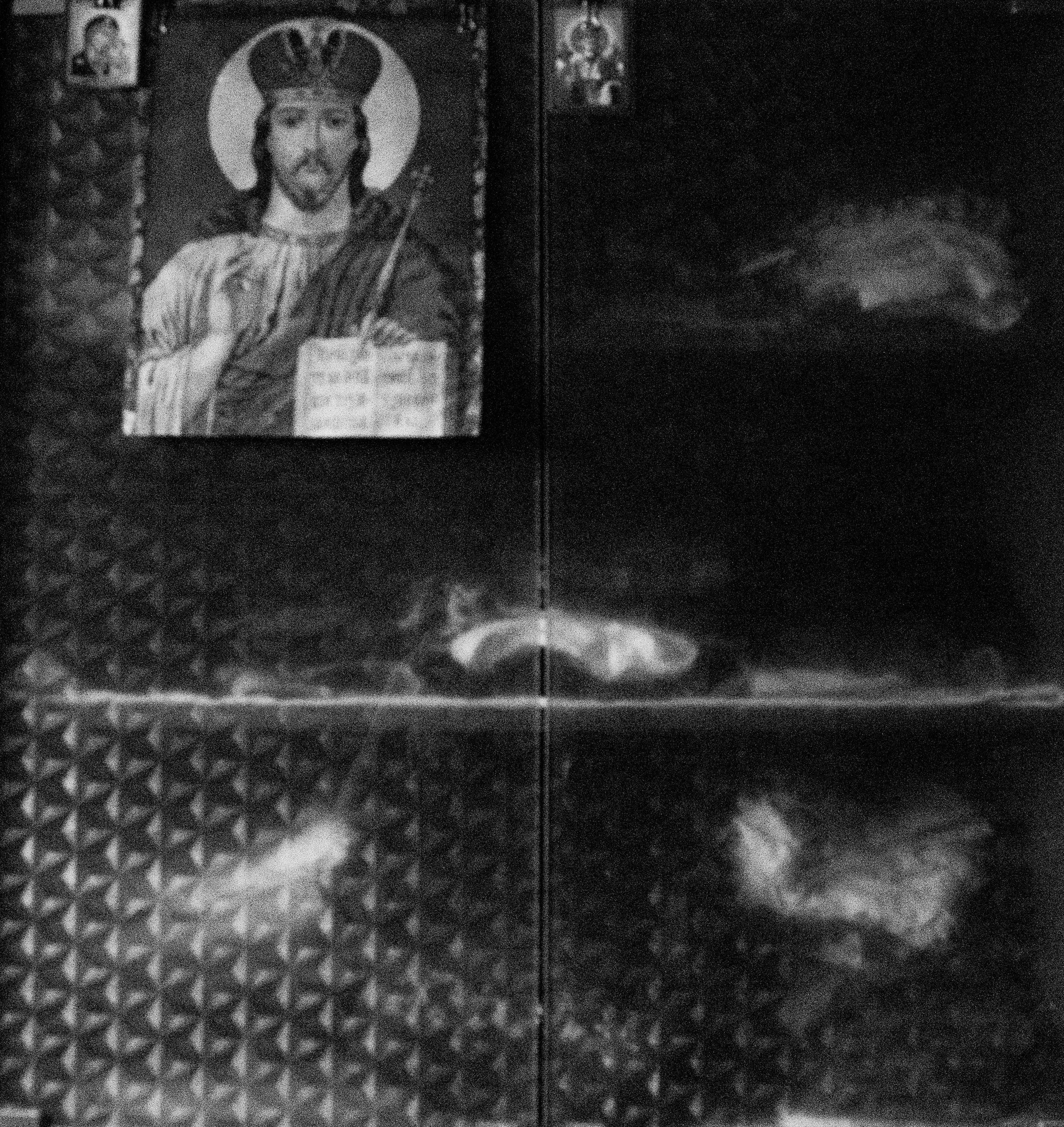 What the Body Remembers