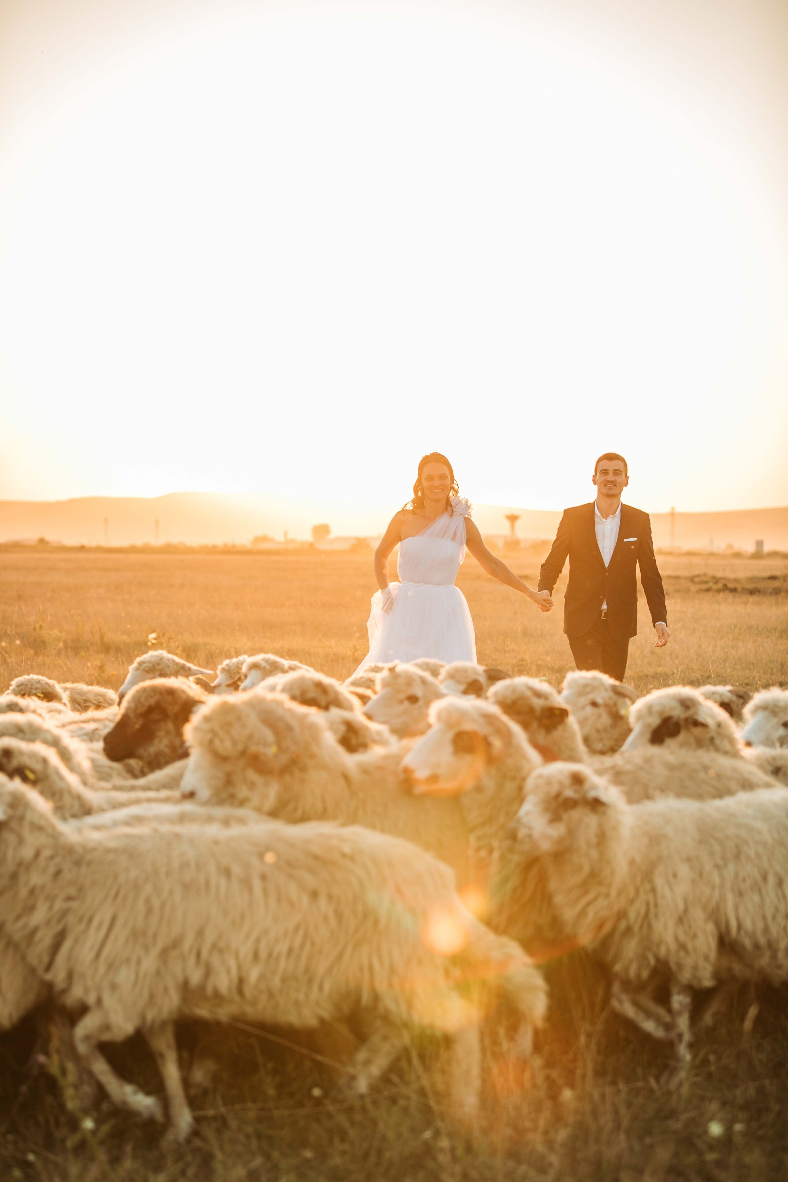 Corina & Ovidiu. Contrast Studio