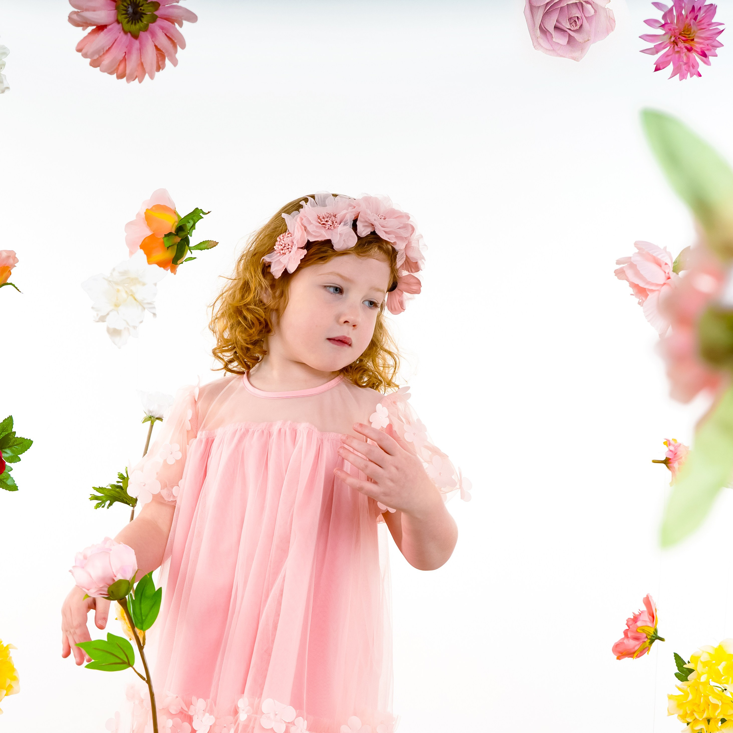Laura. Tatyana Van Hedent een fotograaf te Zele, Oost-Vlaanderen