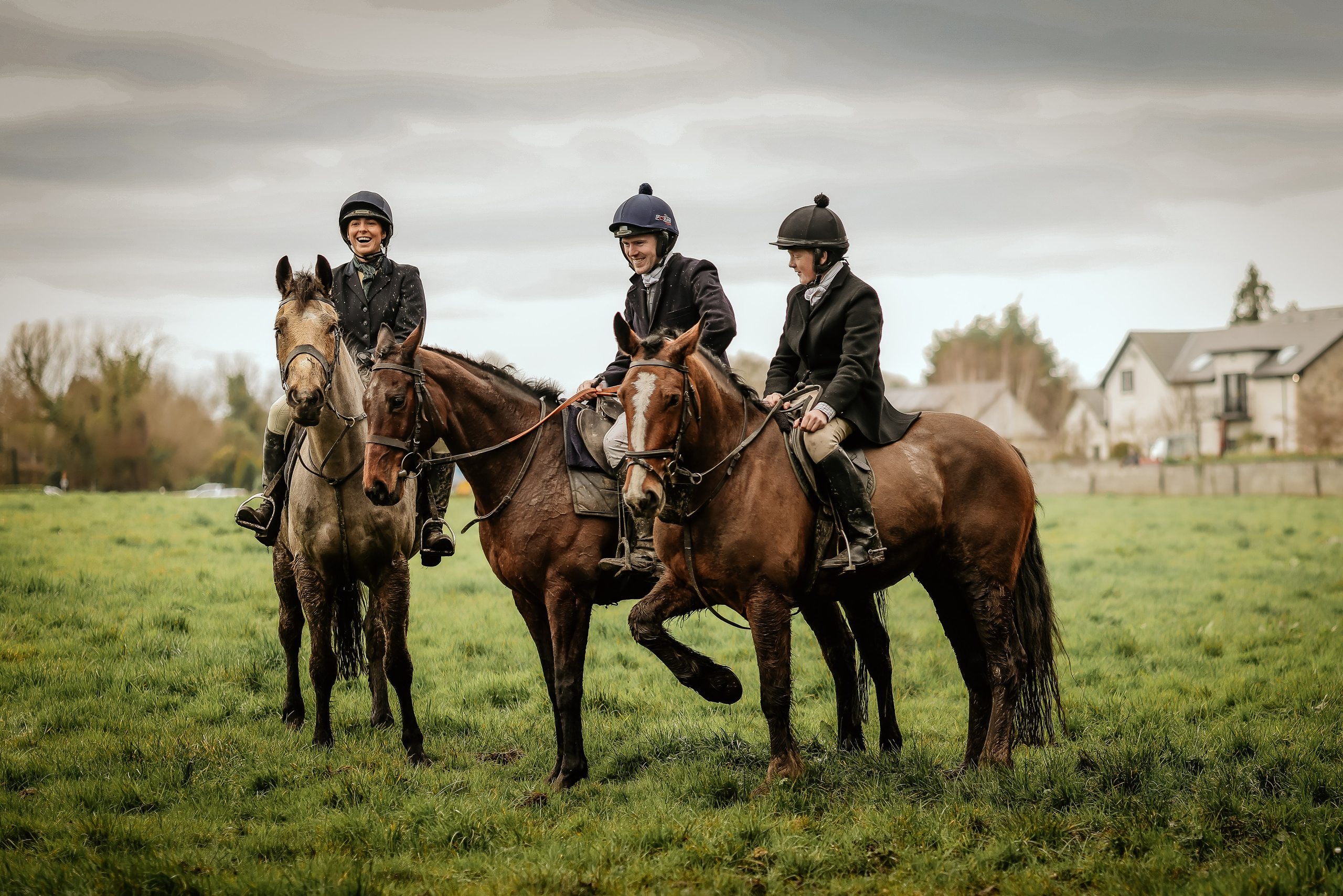 Hunting. Photographer Co Dublin, Balbriggan — Agata Maliseva