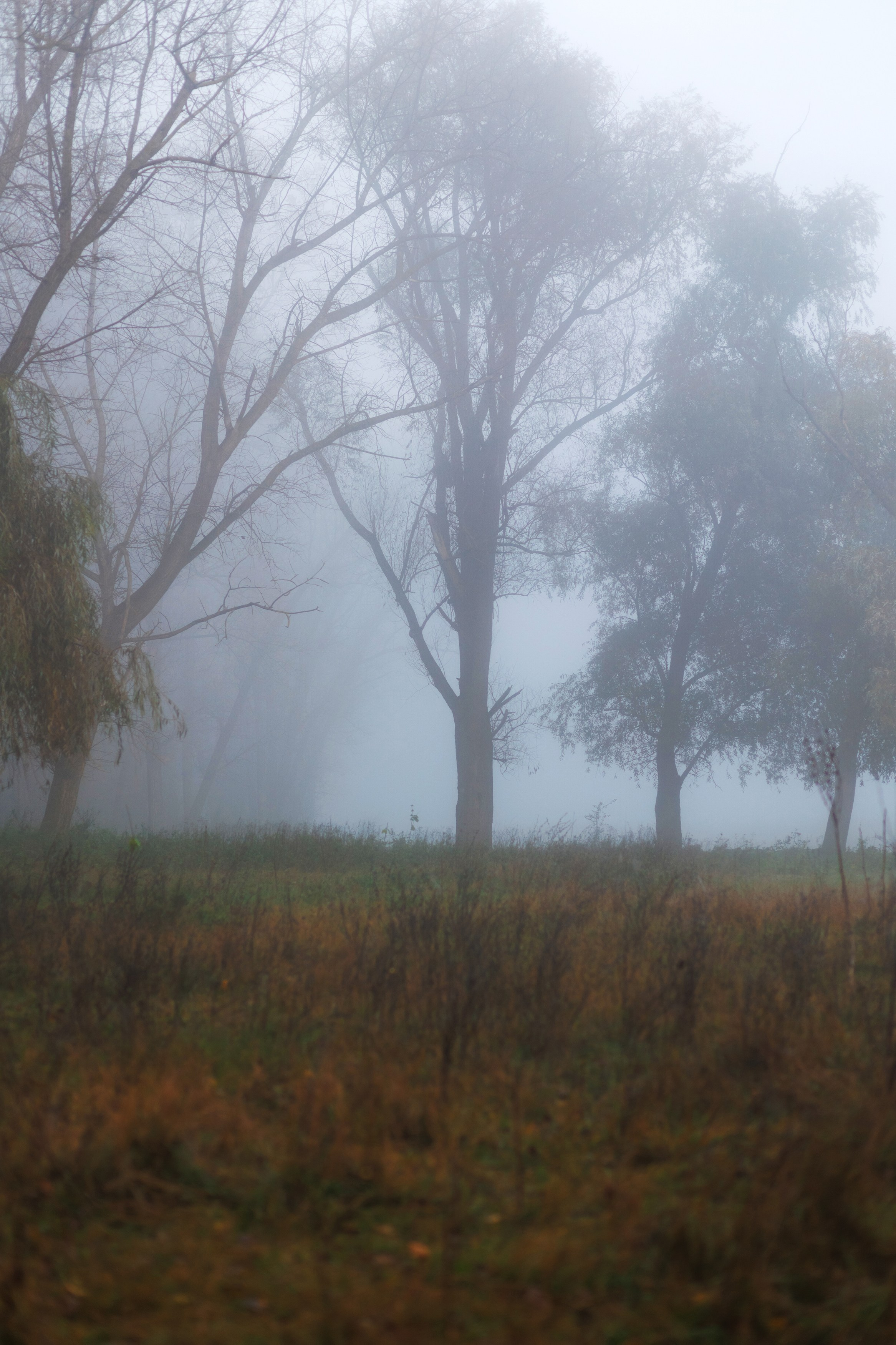 MARIANA — AUTUMN TIME. Fulga Photographer