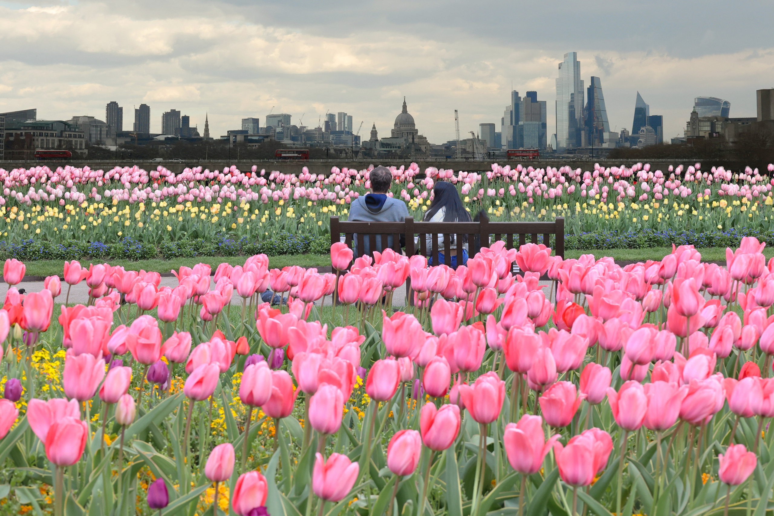 Couples and portraits photographer Wimbledon London