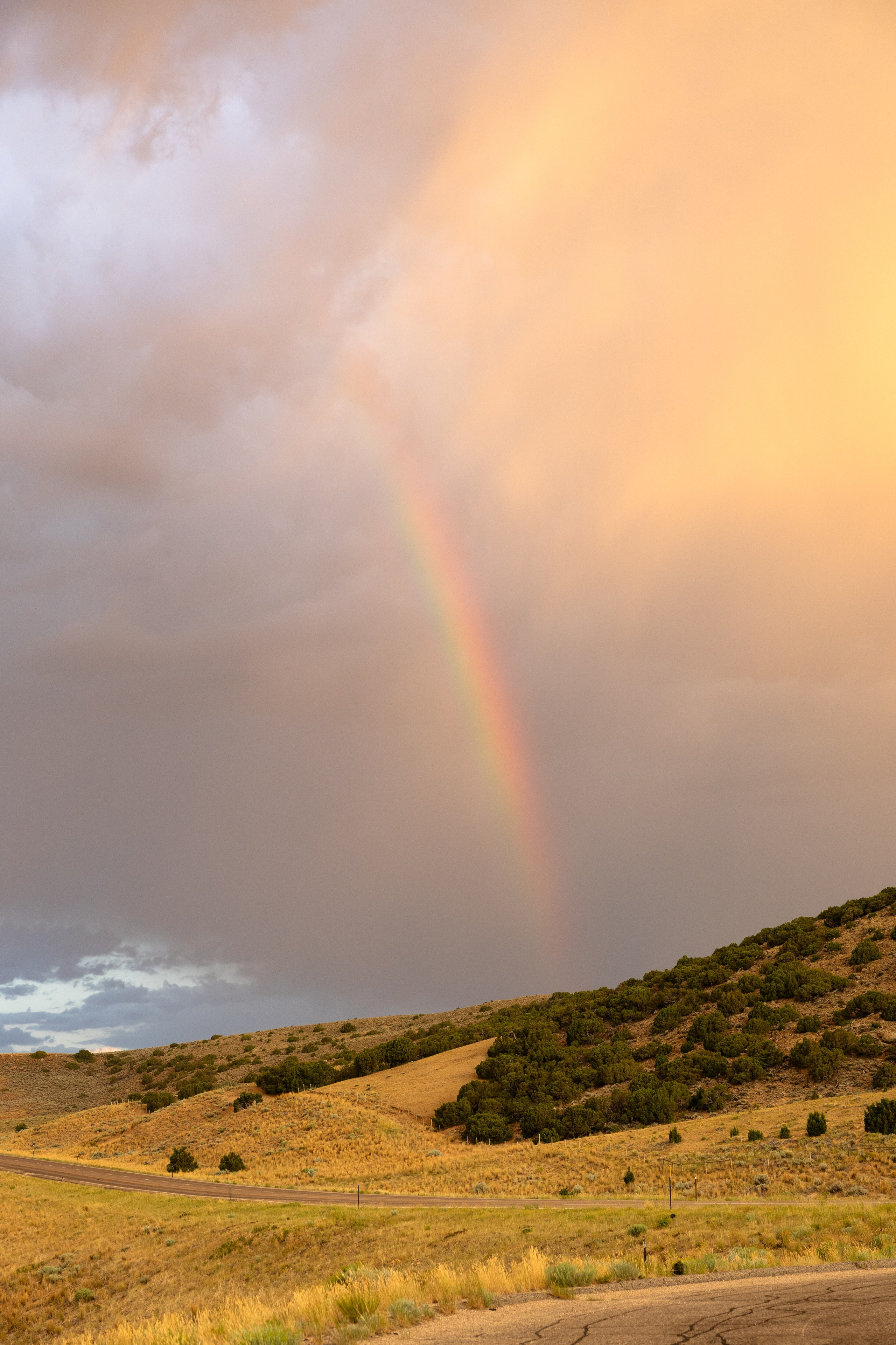 Wyoming. Family Lifestyle Photography