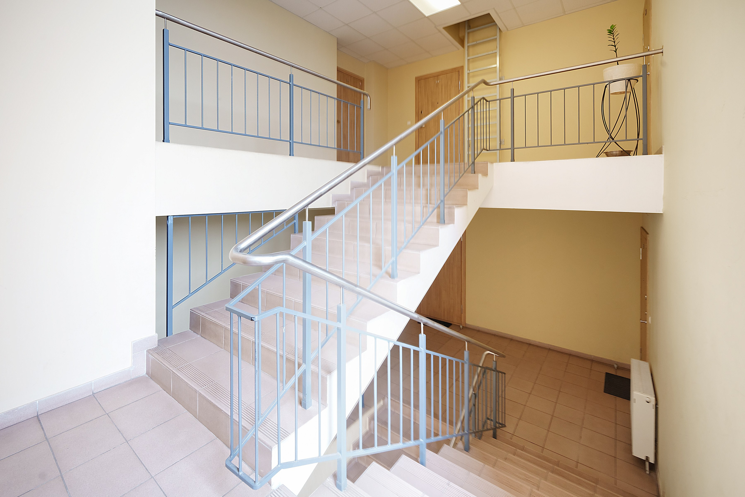 Bajorų kelias 1. Elina Sapiega fotografė Vilniuje