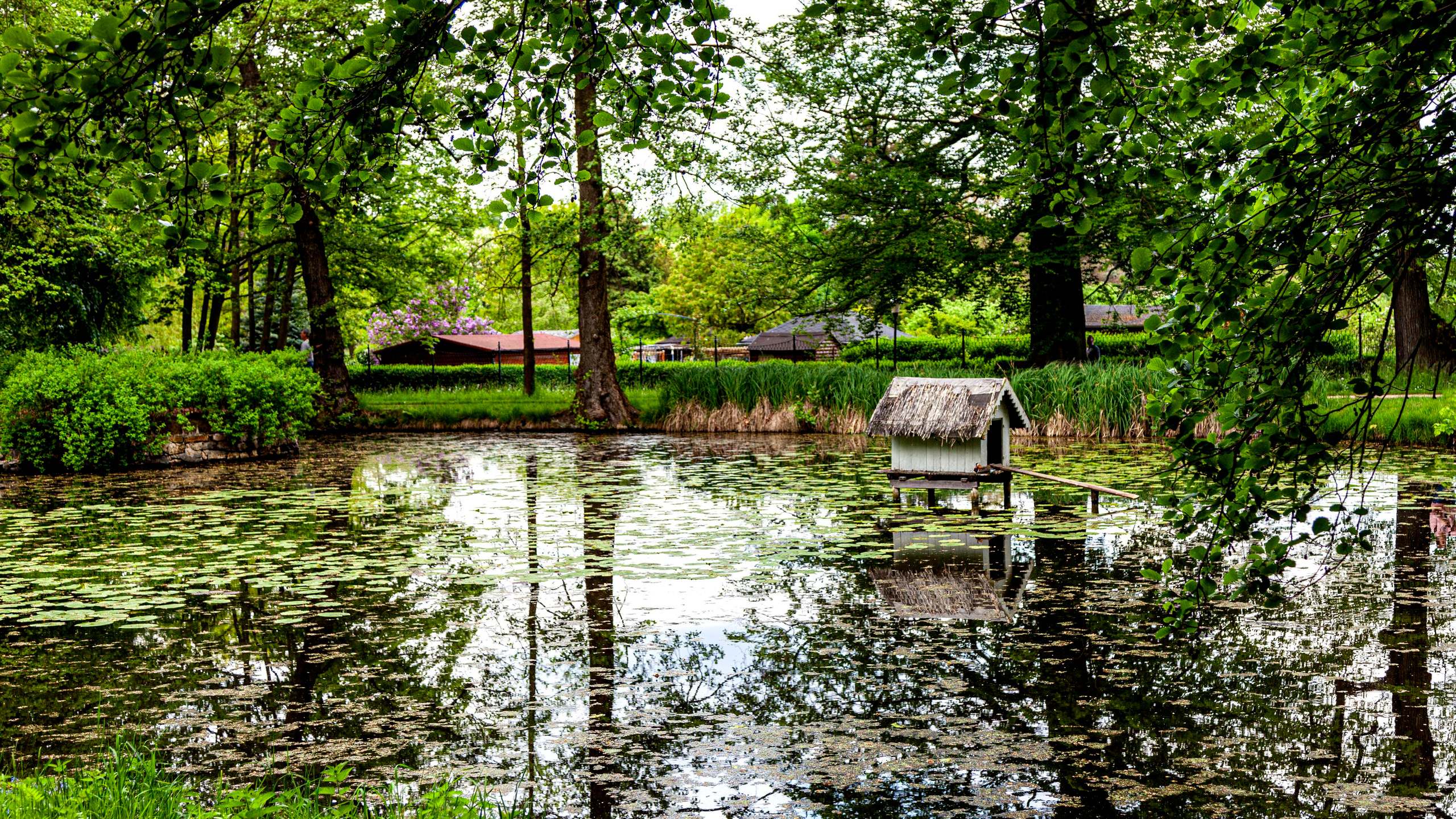 157.Pillnitz.Germany.14.5.2023. Путешествия в формате 360......